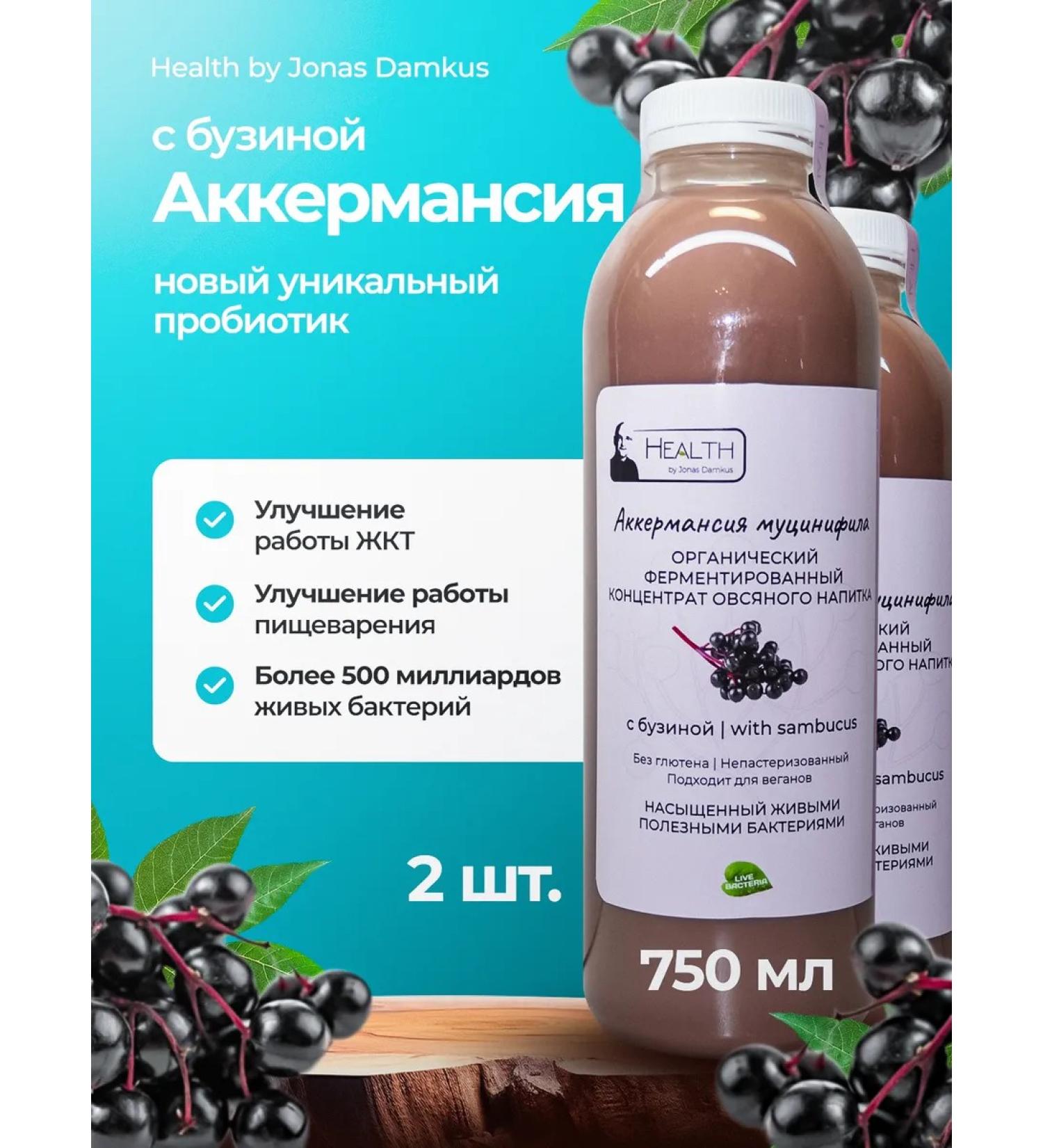 Health by Jonas Damkus Akkermansia oatmeal with an elderberry 750 ml 2 pcs - Buy Online on GoSupps.com
