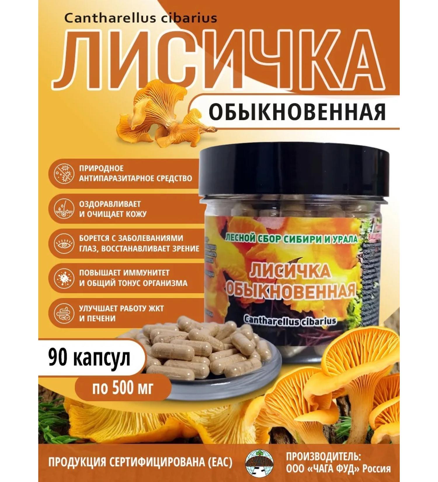 CHAGA FOOD COMPENT OF ANITY ANTIPRASITIAN in capsules 500 mg - Buy Online on GoSupps.com
