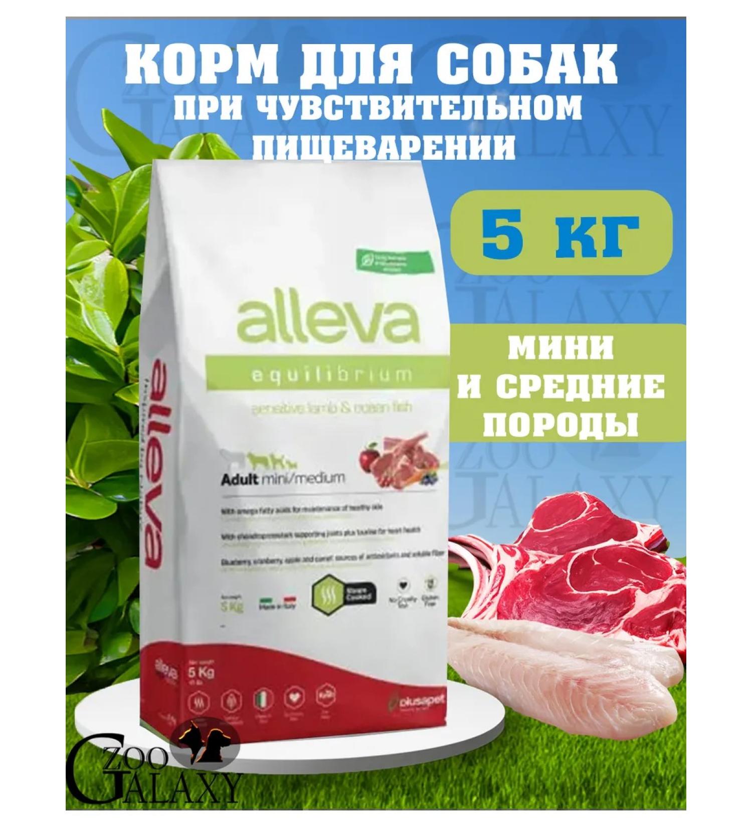 Alleva Equilibrium Mini Medium Lamb Fish 5 kg
