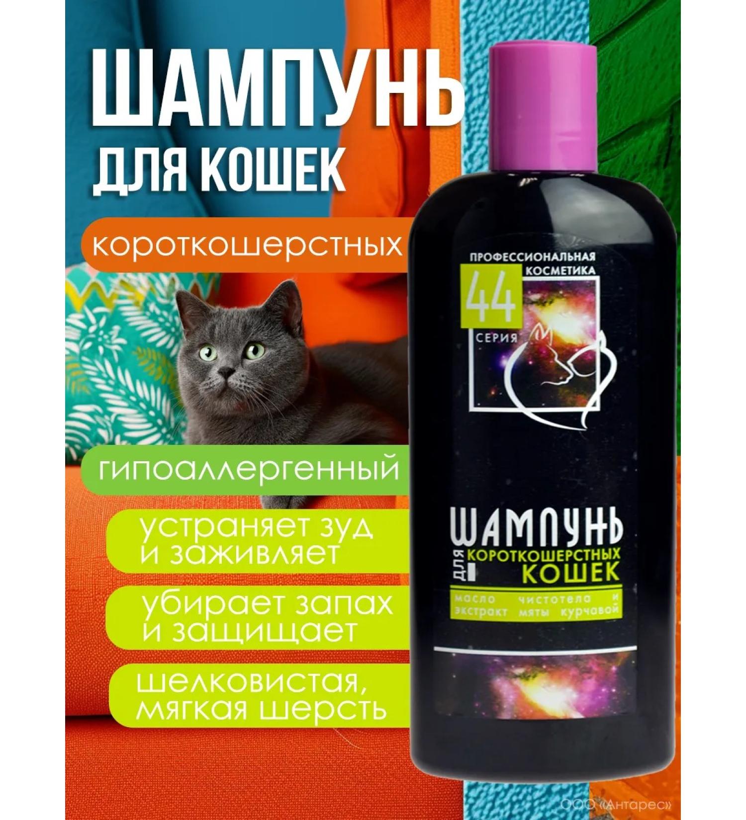 Shampoo for short -haired cats - Buy Online on GoSupps.com