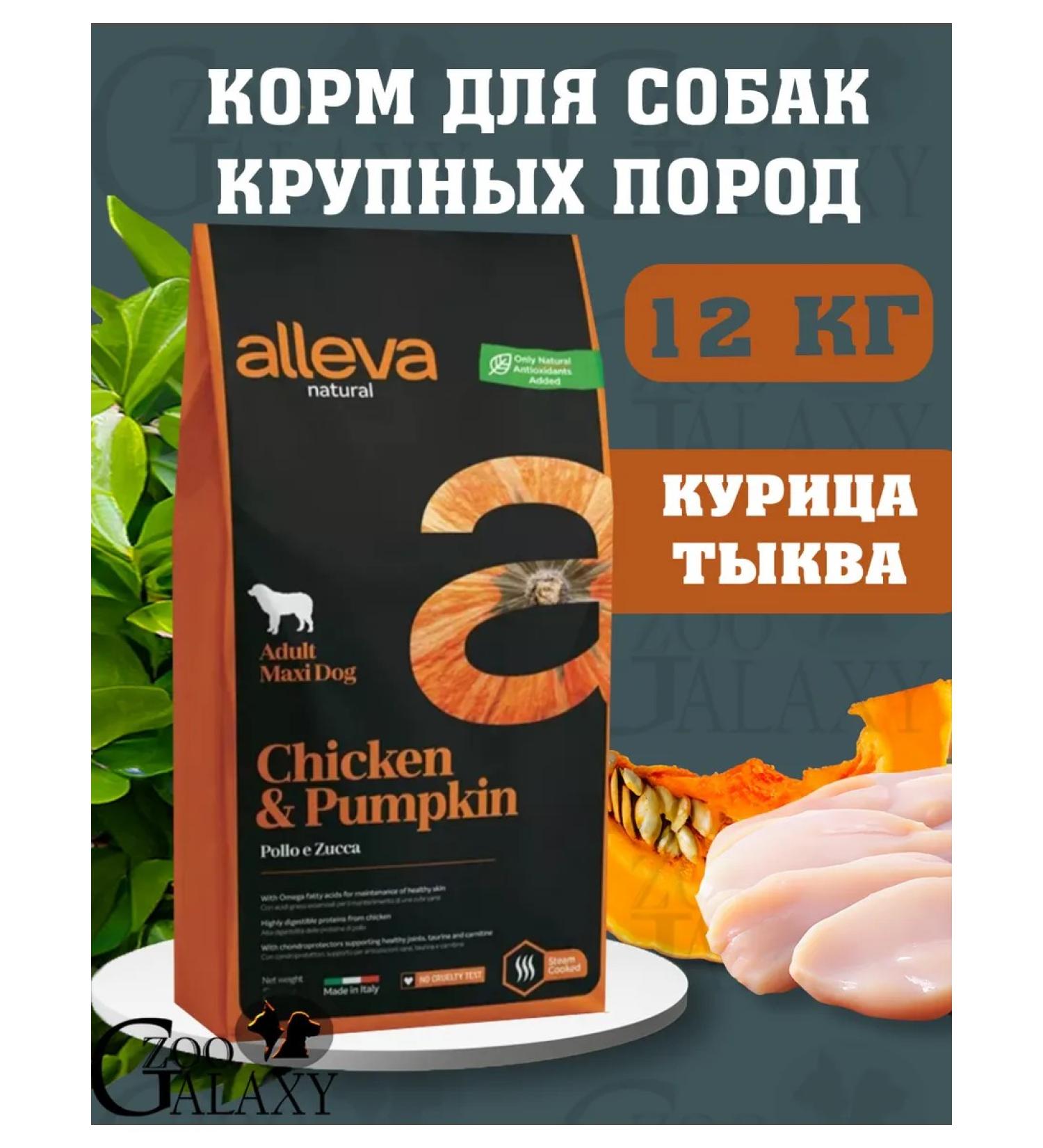 Alleva Natural Chicken and Pumpkin Maxi 12 kg