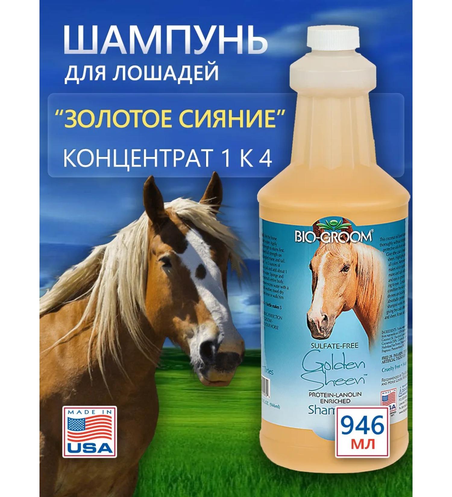 BioGroom Shampoo concentrate 1k 4 946 ml - Buy Online on GoSupps.com