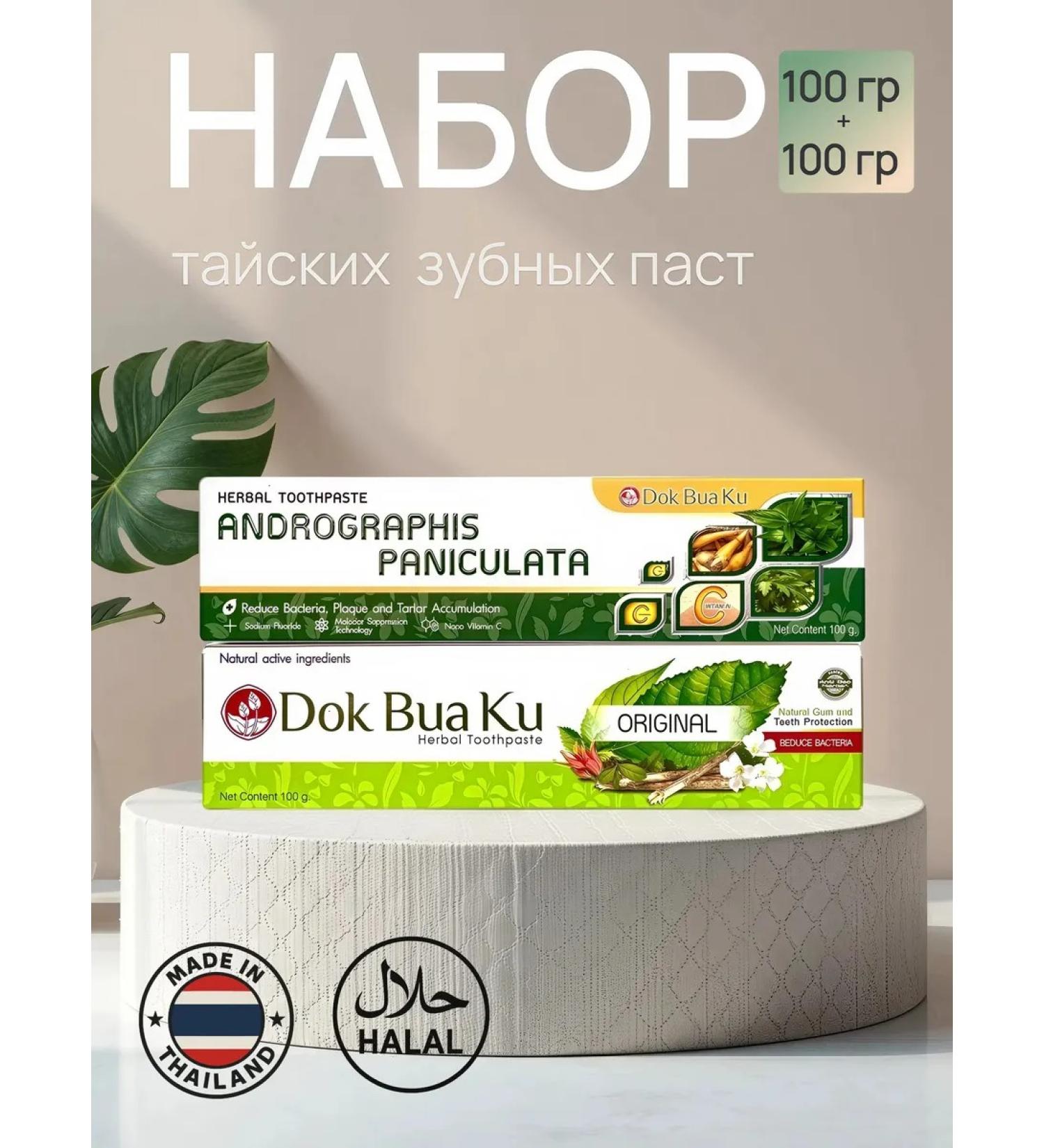 TWIN LOTUS Set of Thai toothpasts without fluorine 100 g*2 pcs - Buy Online on GoSupps.com