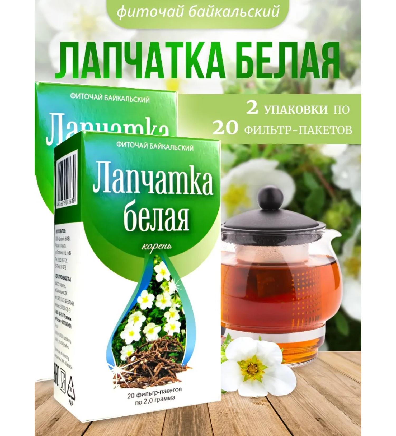 Sage Lapceta white root 2 pcs. Healing herbs - Buy Online on GoSupps.com