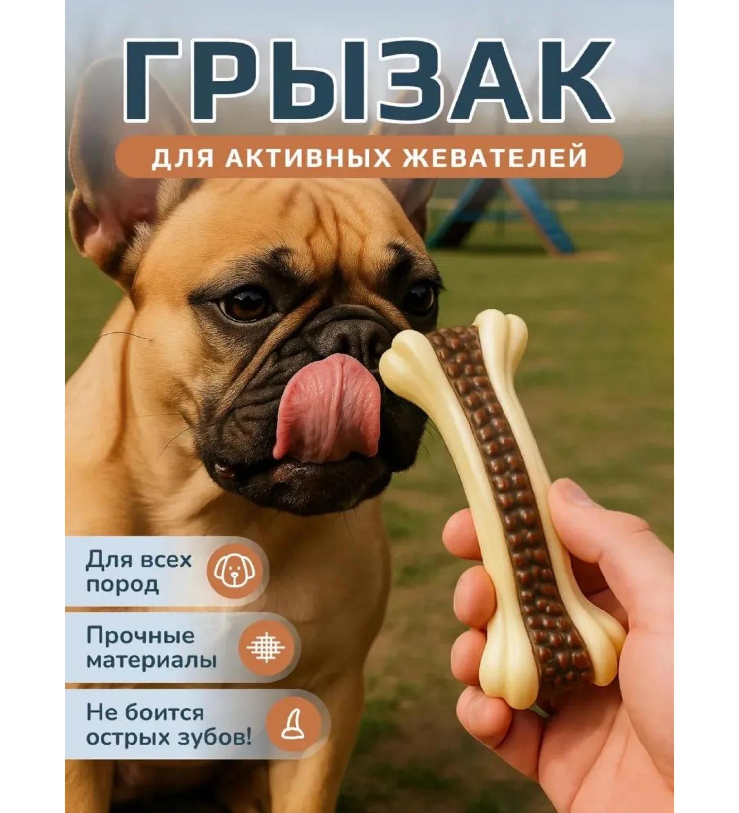 Dog toy - chewing bone - Buy Online on GoSupps.com