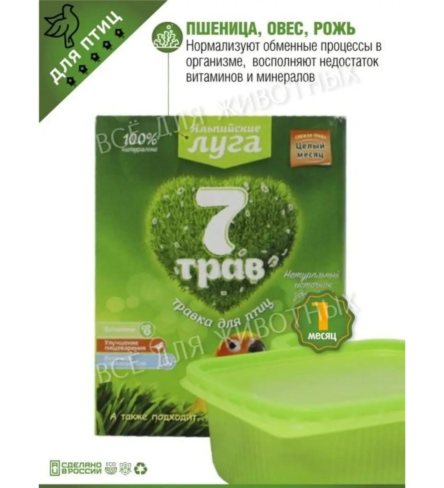 Alpine meadows Grass for birds seeds for germination with a tray - Buy Online on GoSupps.com
