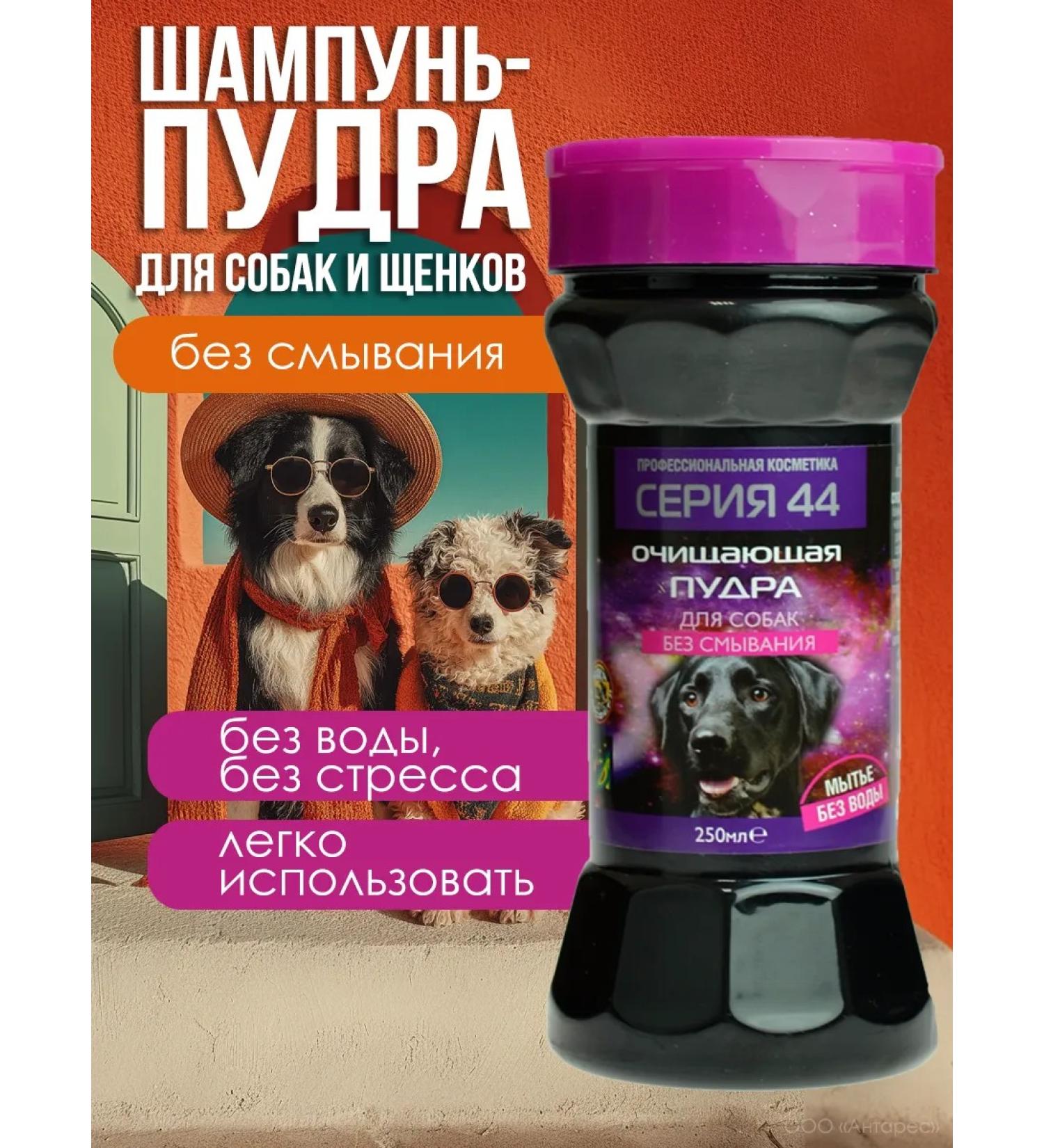 Episode 44 Dry shampoo for dogs without washing - Buy Online on GoSupps.com