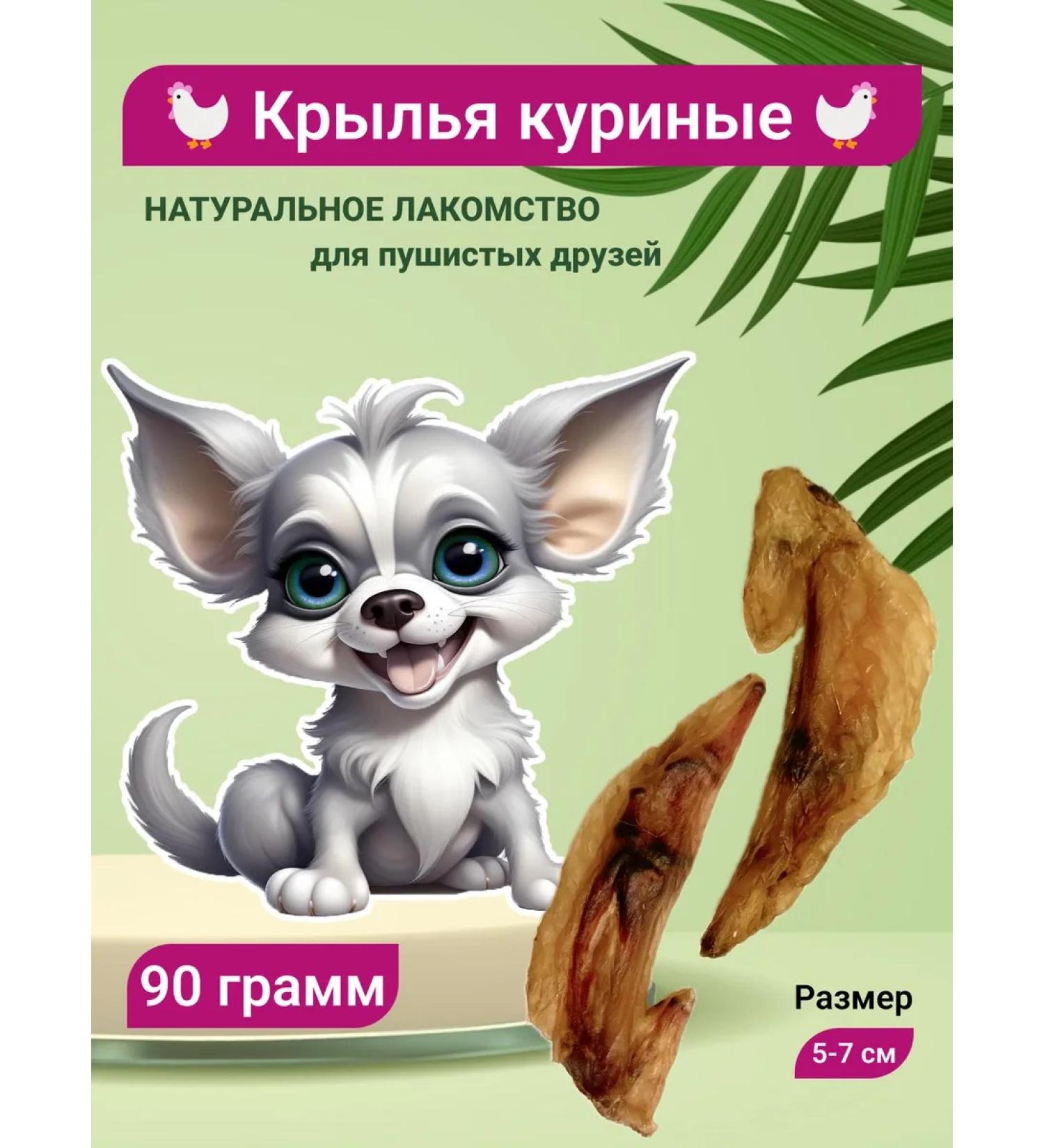 Wings dry chicken 90 grams Ricci - Buy Online on GoSupps.com