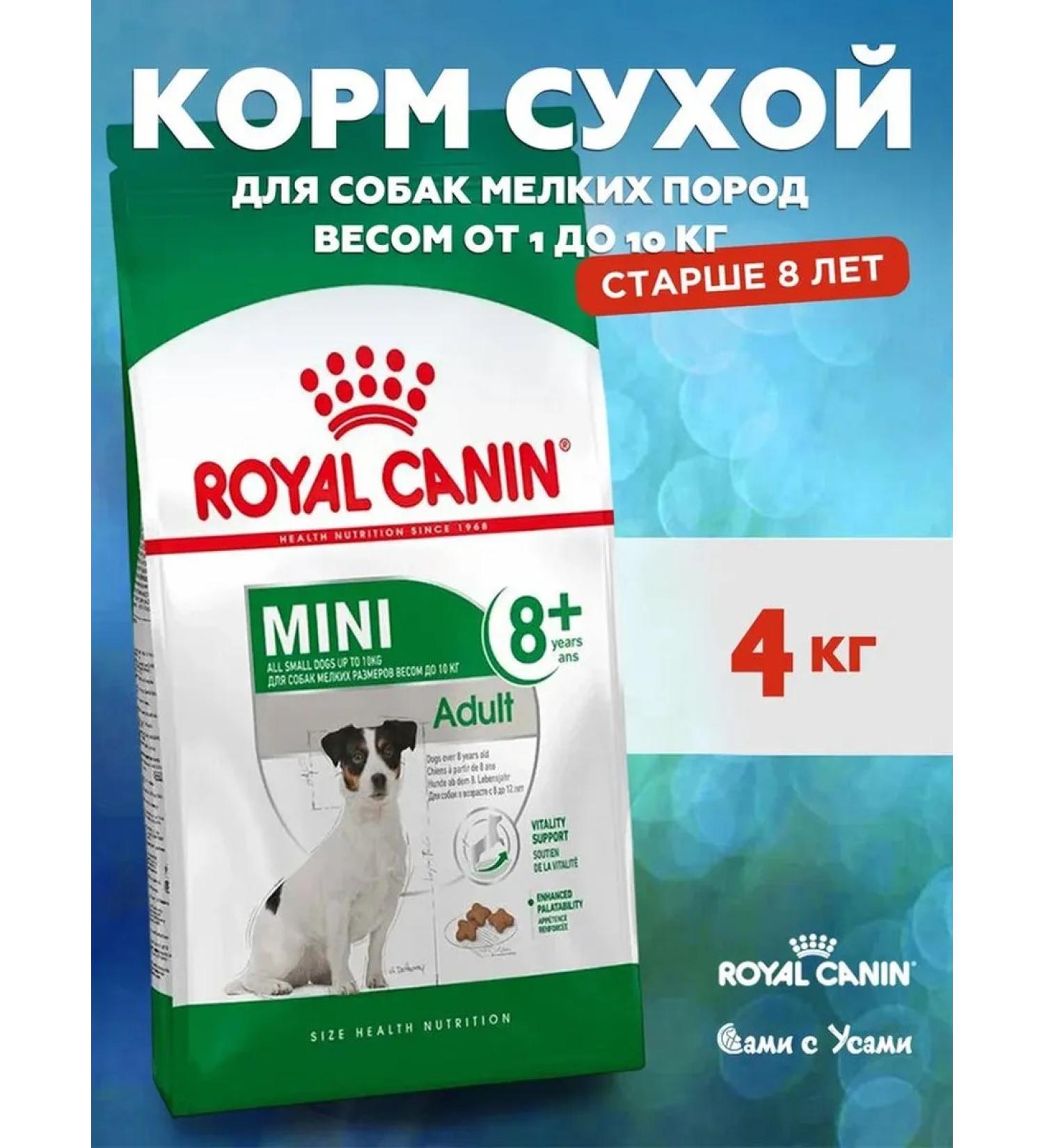 ROYAL CANIN Mini adult 8+ Feed for aging dogs of small species 4 kg - Buy Online on GoSupps.com