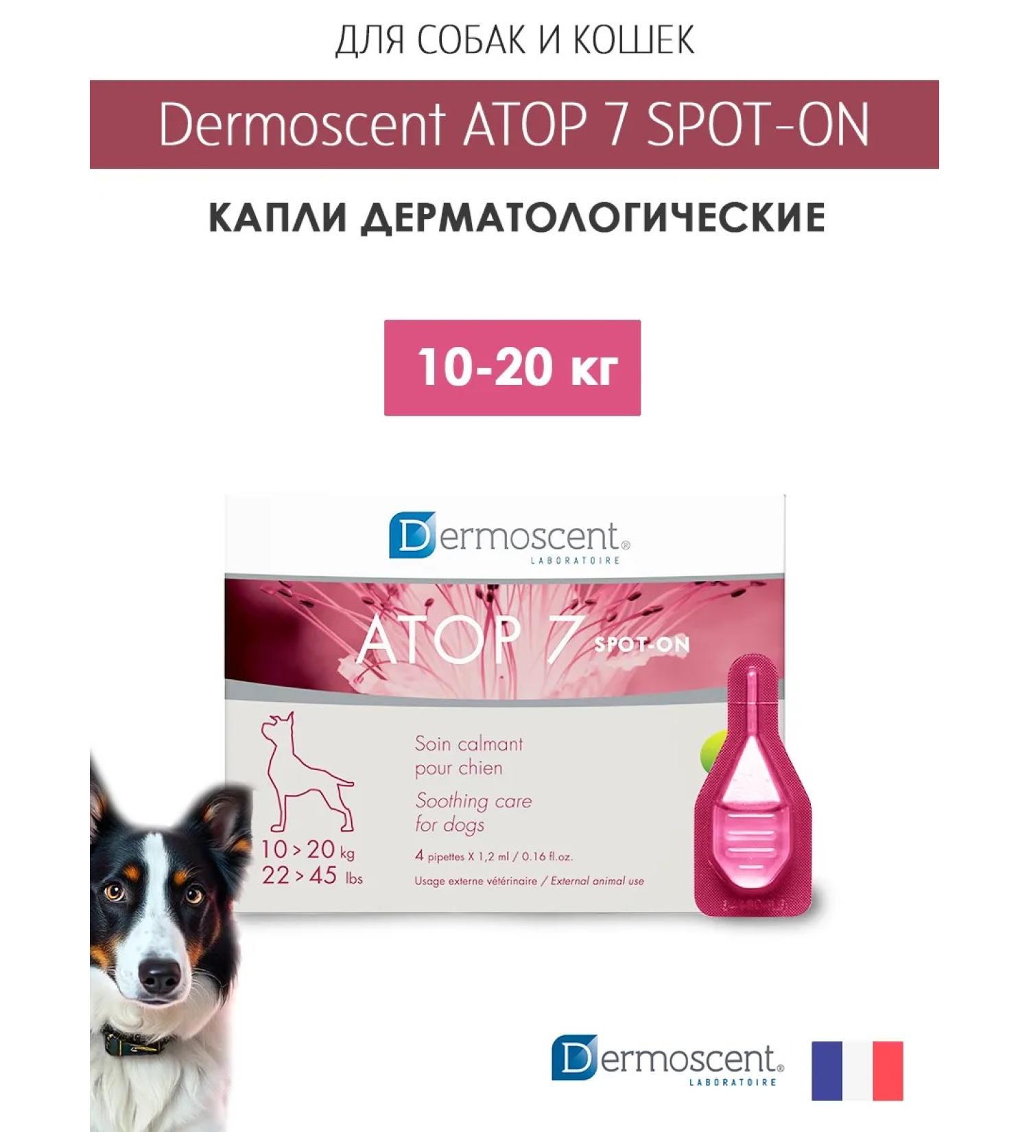 Dermoscent Drops from allergies for medium dogs 10-20 kg - Buy Online on GoSupps.com