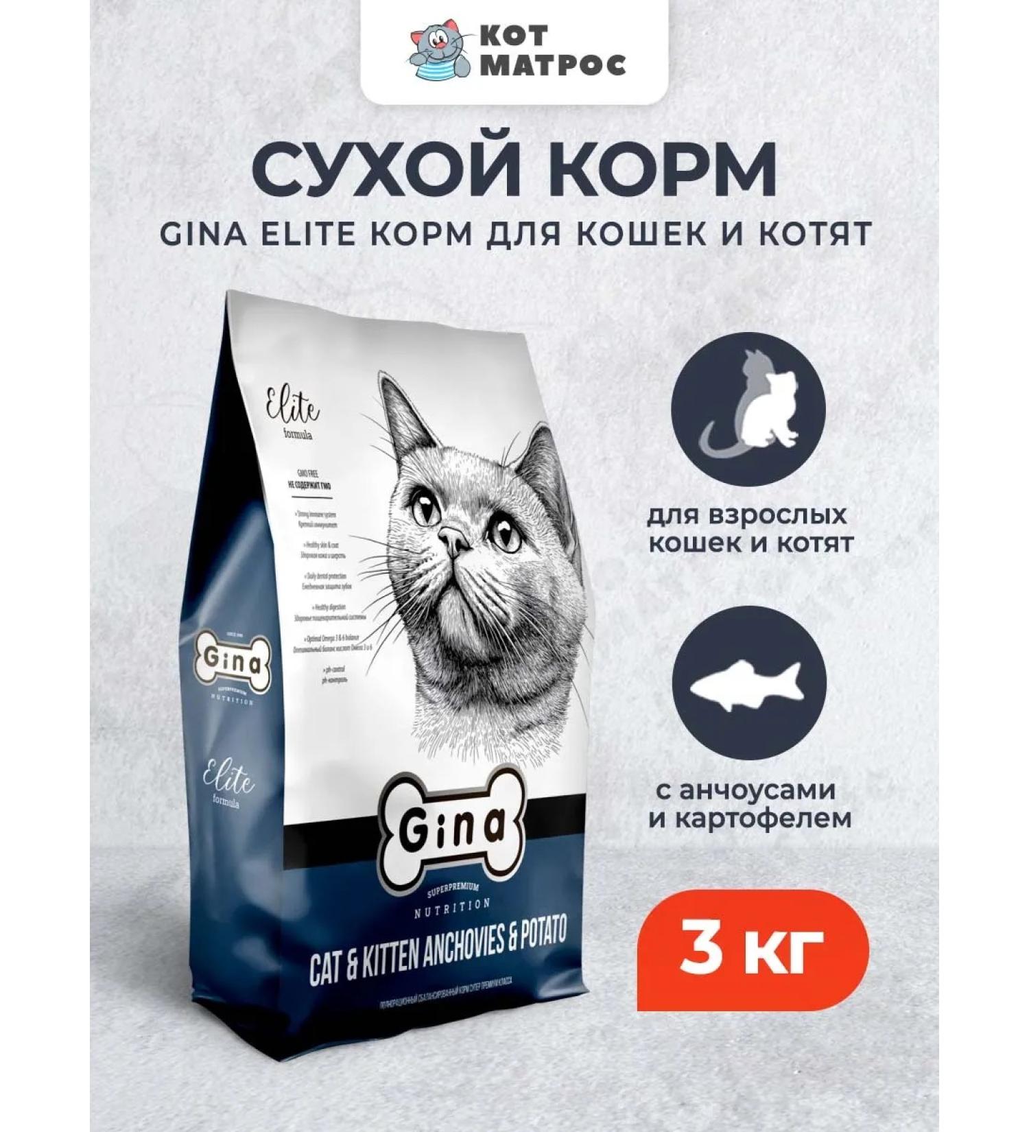 Gina Dry food for cats and kittens with anchovies and potatoes-3kg