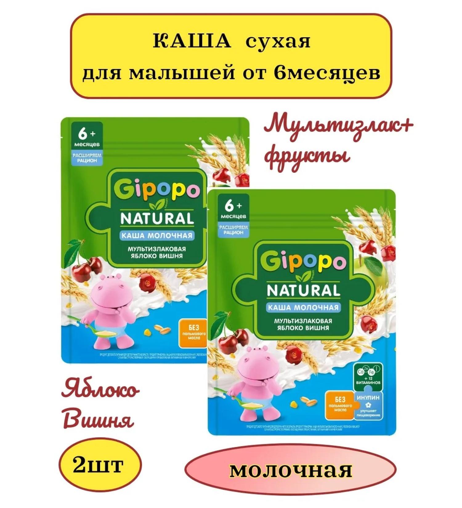 GIPOPO Multicarp porridge with fruit Milk 170g 2pcs - Buy Online on GoSupps.com