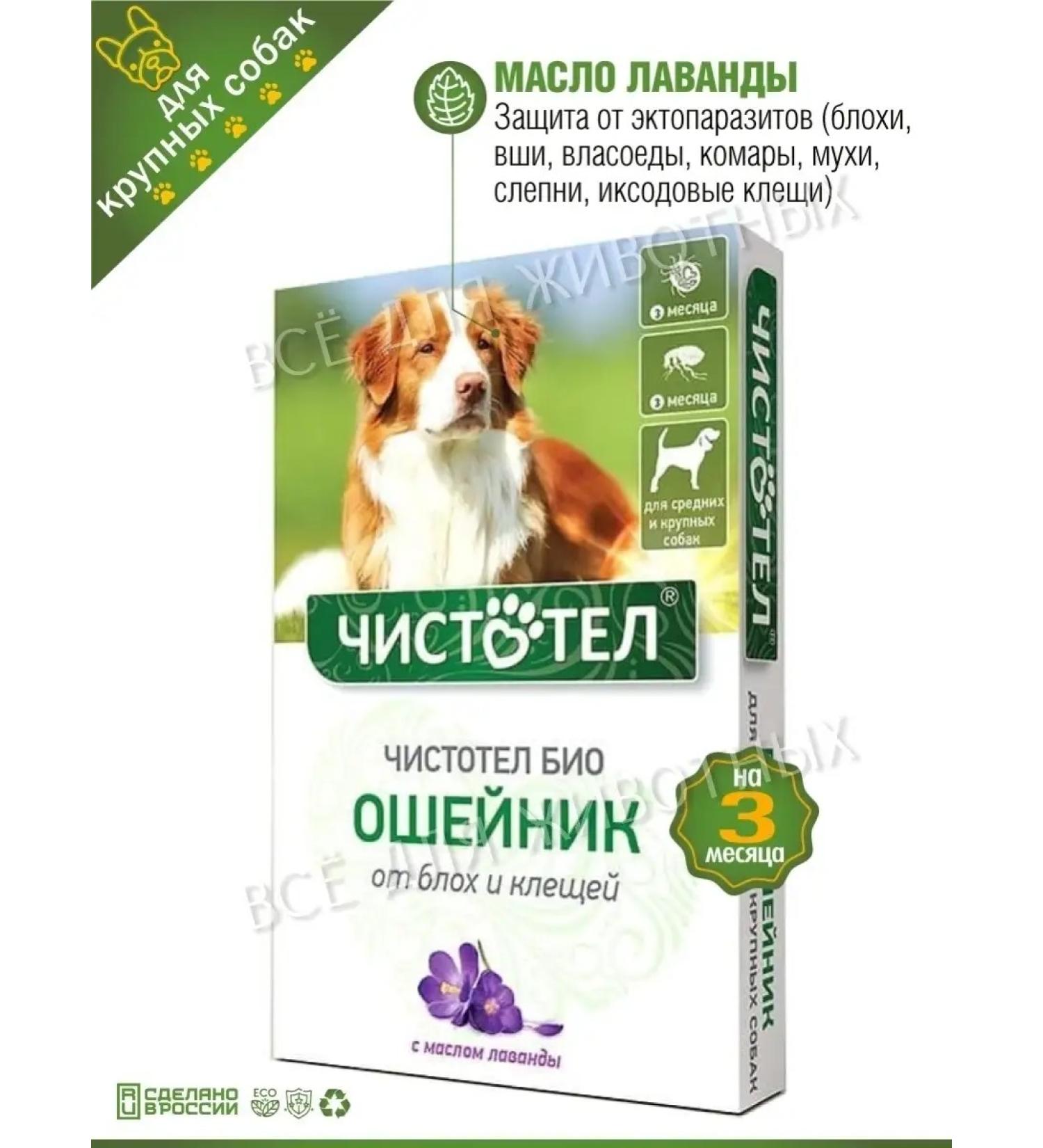 Celandine A collar from fleas and ticks for dogs and puppies 65cm - Buy Online on GoSupps.com