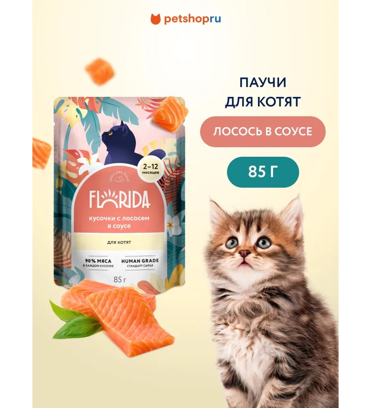 Florida Spider for kittens pieces with salmon in sauce 85 g wet food - Buy Online on GoSupps.com