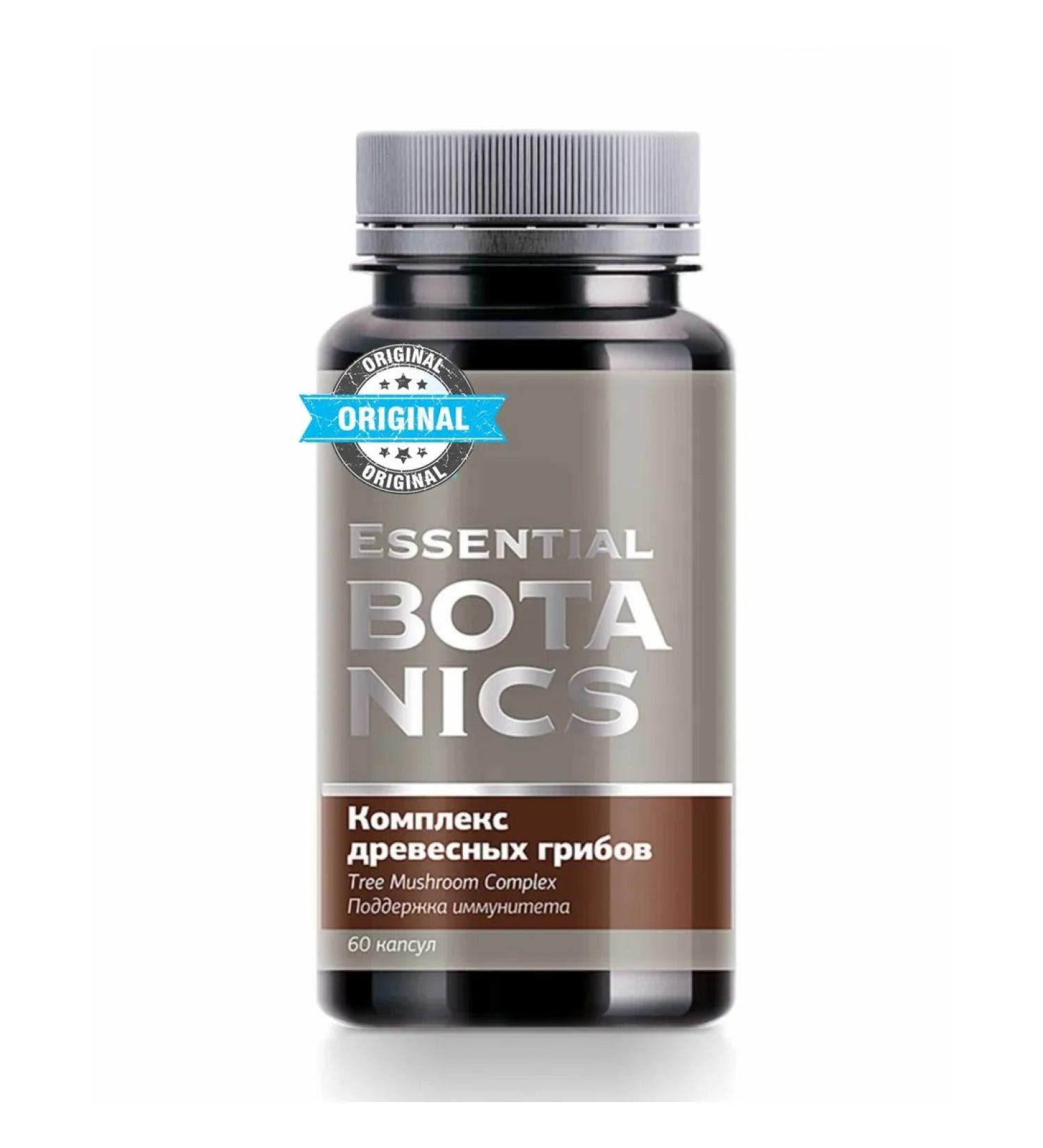 health of Siberia A complex of wood mushrooms