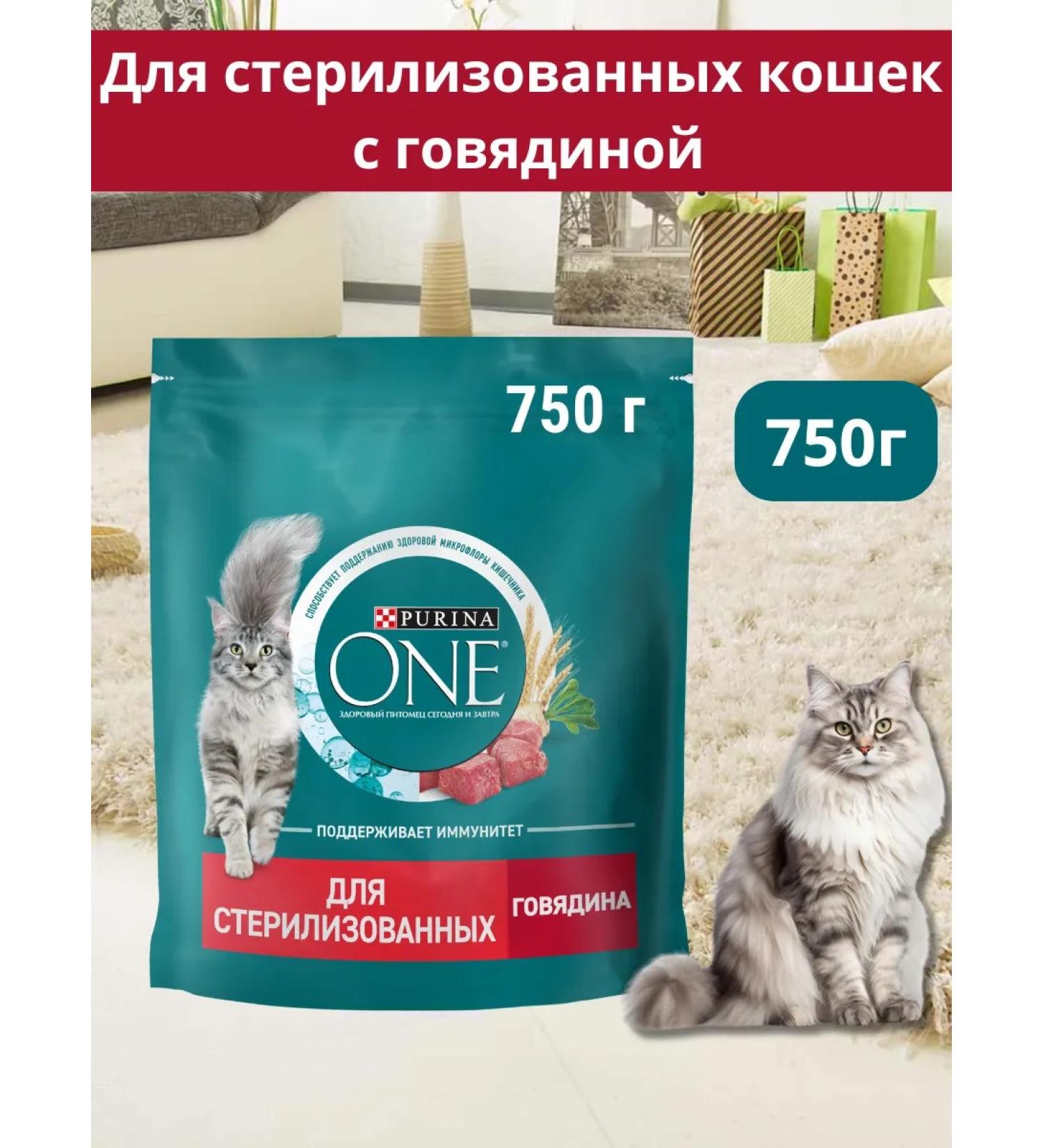 PURINA ONE Dry food for sterilized cats with beef 750g - Buy Online on GoSupps.com