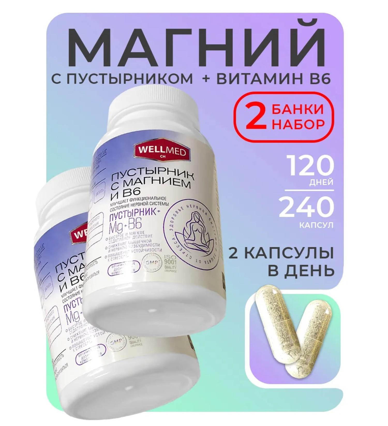 WELLMED CH Magnesium B6 with a motherwort for adults set 2B1 from stress - Buy Online on GoSupps.com