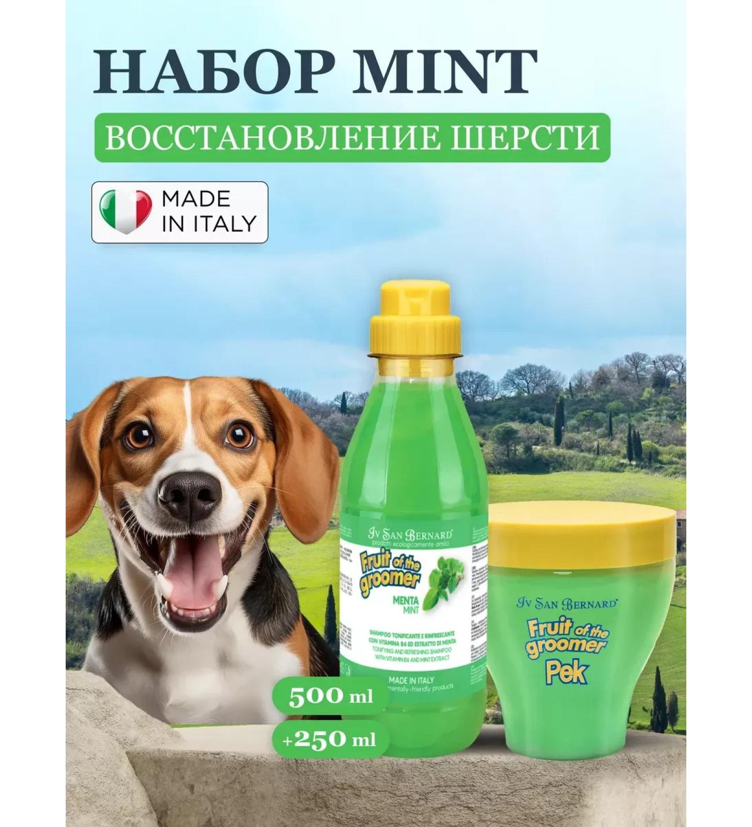 Dog shampoo and ISB mint mask - Buy Online on GoSupps.com