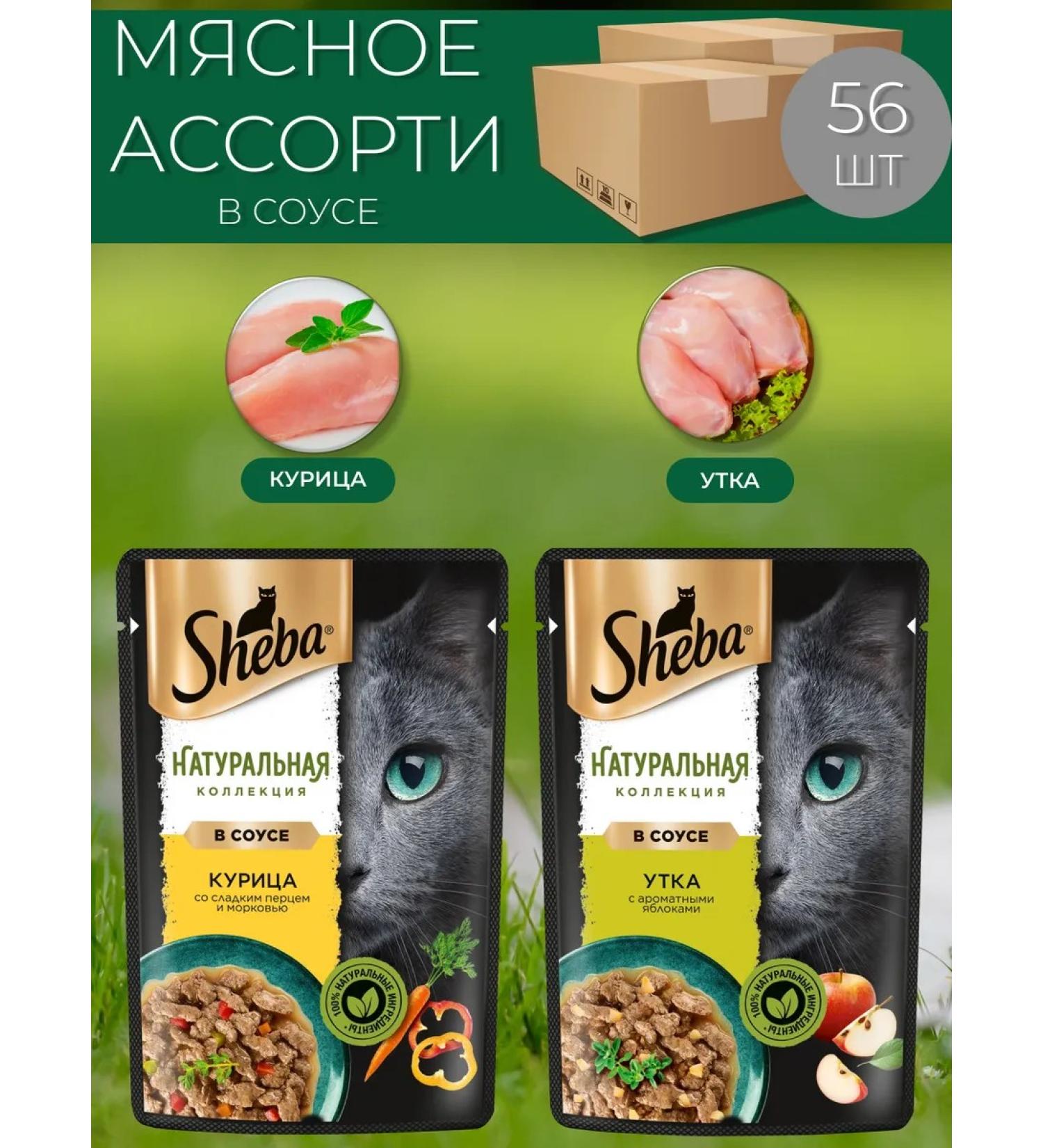 Sheba Wet food for adult cats in assorted sauce 75g x 56 pcs - Buy Online on GoSupps.com