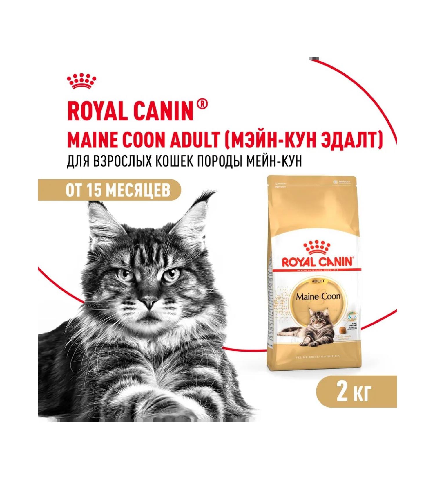 ROYAL CANIN Dry food for Maine Coons Maine Coon 2 kg - Buy Online on GoSupps.com
