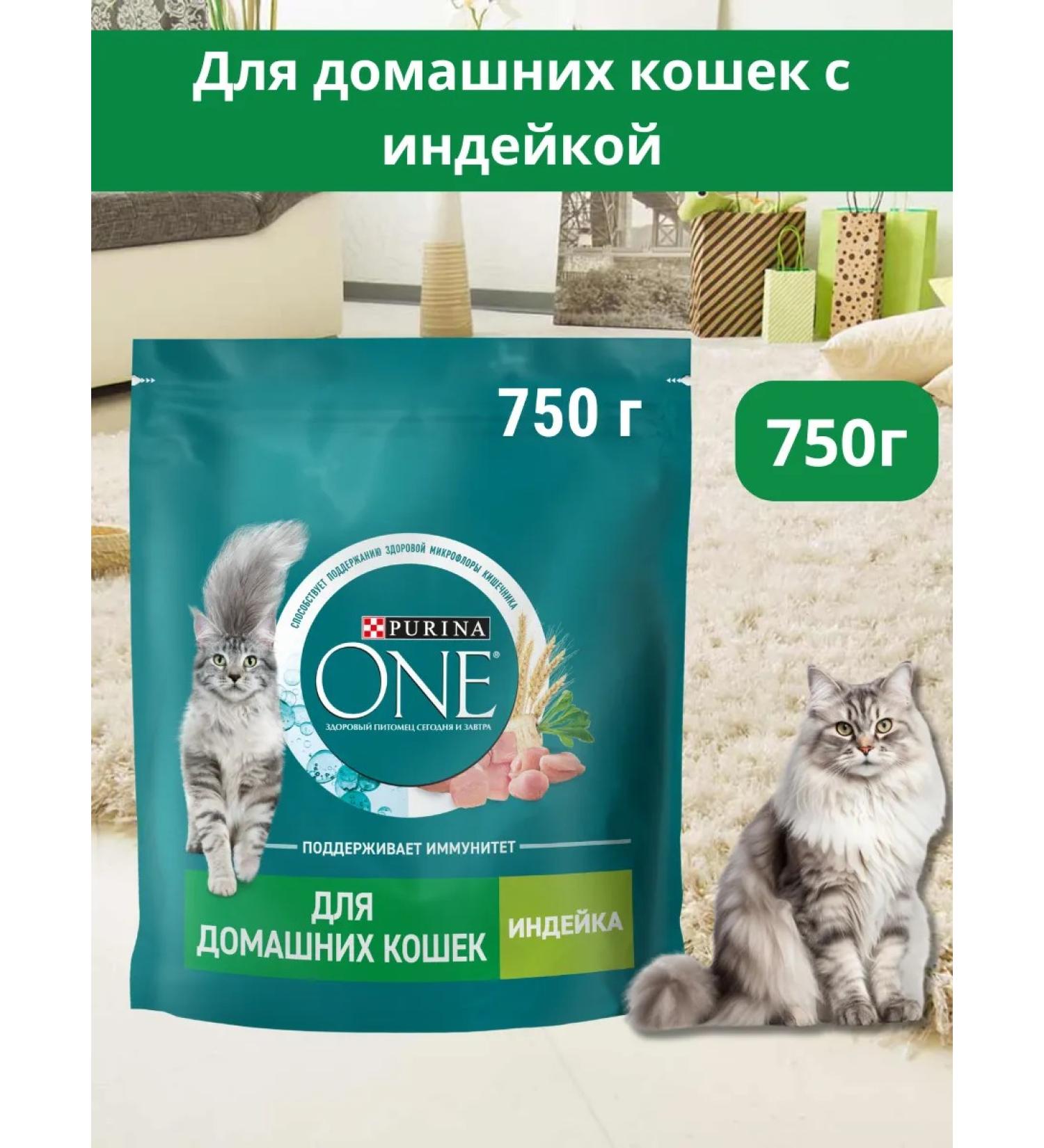 PURINA ONE Dry food for homemade cats with a turkey 750g - Buy Online on GoSupps.com