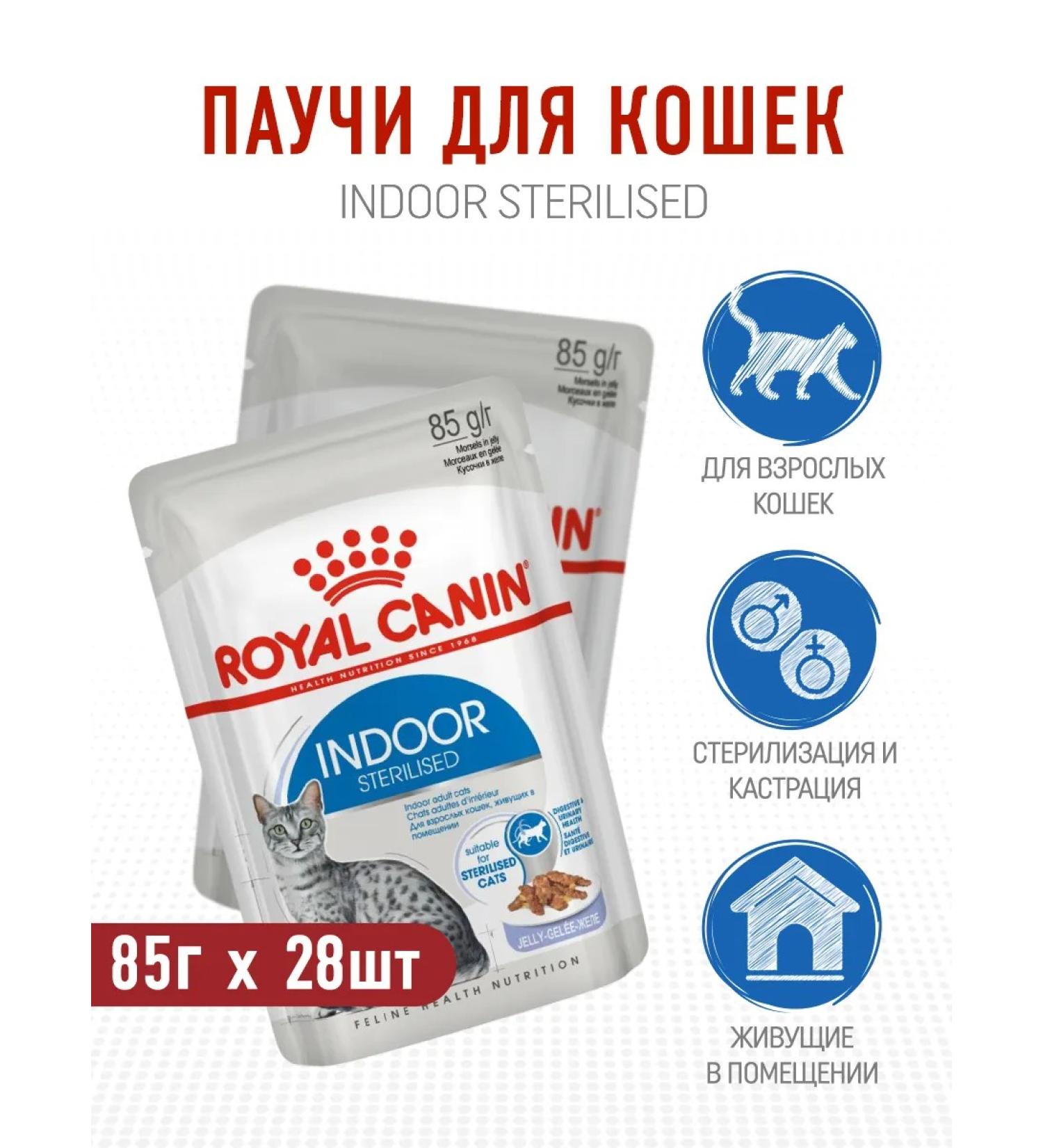 ROYAL CANIN Wet food for sterilized cats in jelly - 85 g x 28 pcs - Buy Online on GoSupps.com