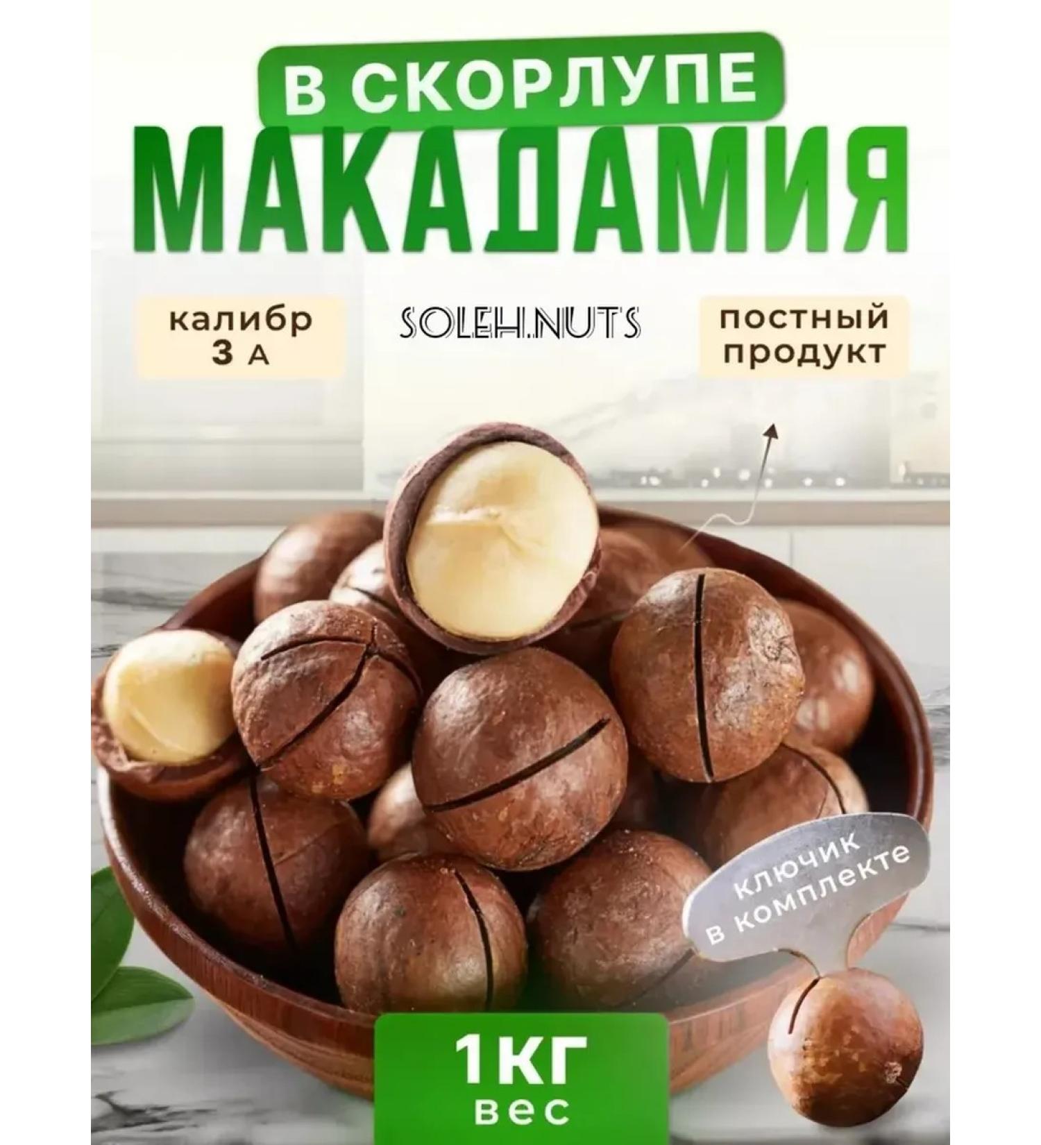 Macadamia nuts in the shell A3 1 kg - Buy Online on GoSupps.com