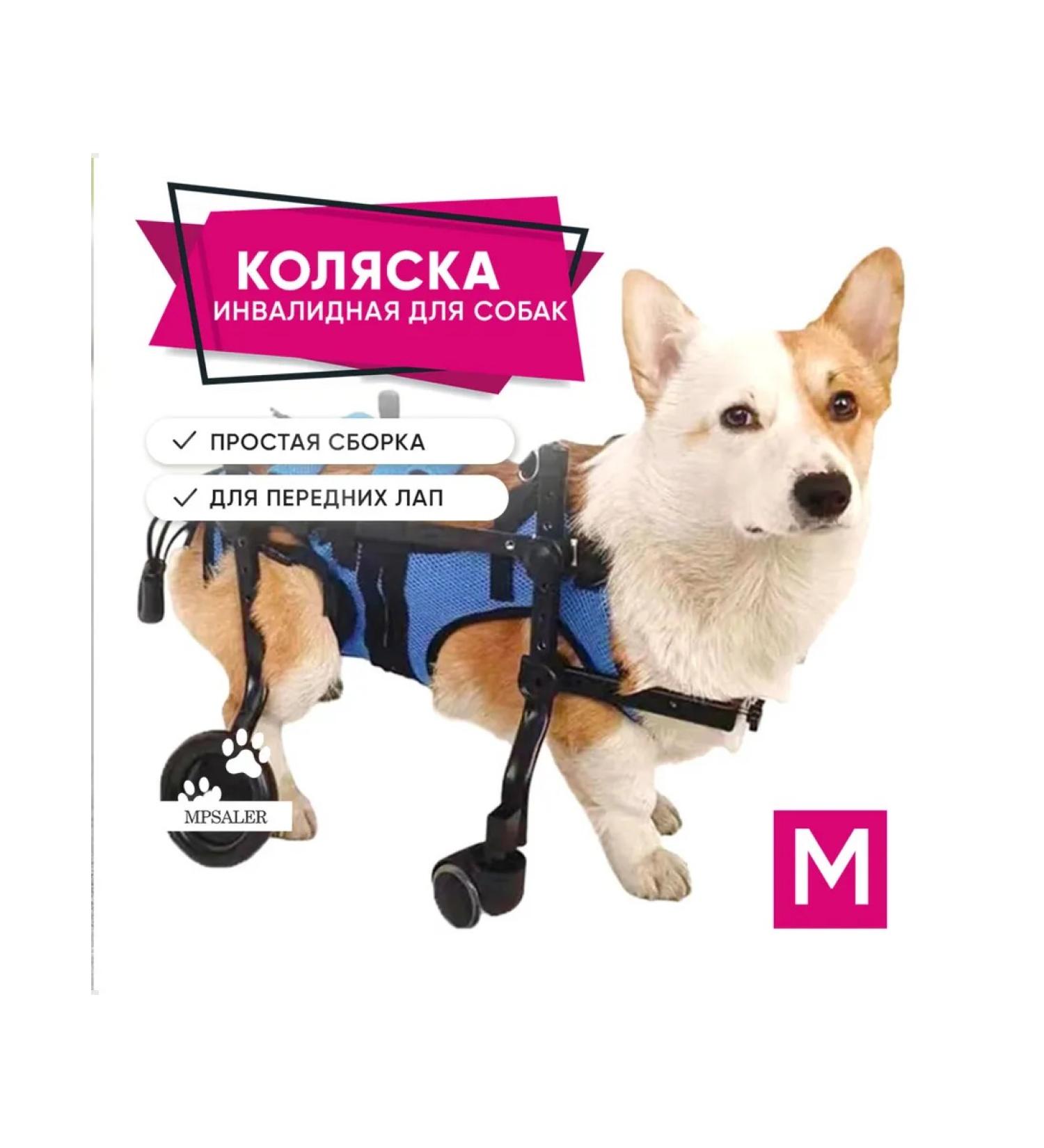 MPSALER Disabled stroller for dogs. For front paws. M - Buy Online on GoSupps.com