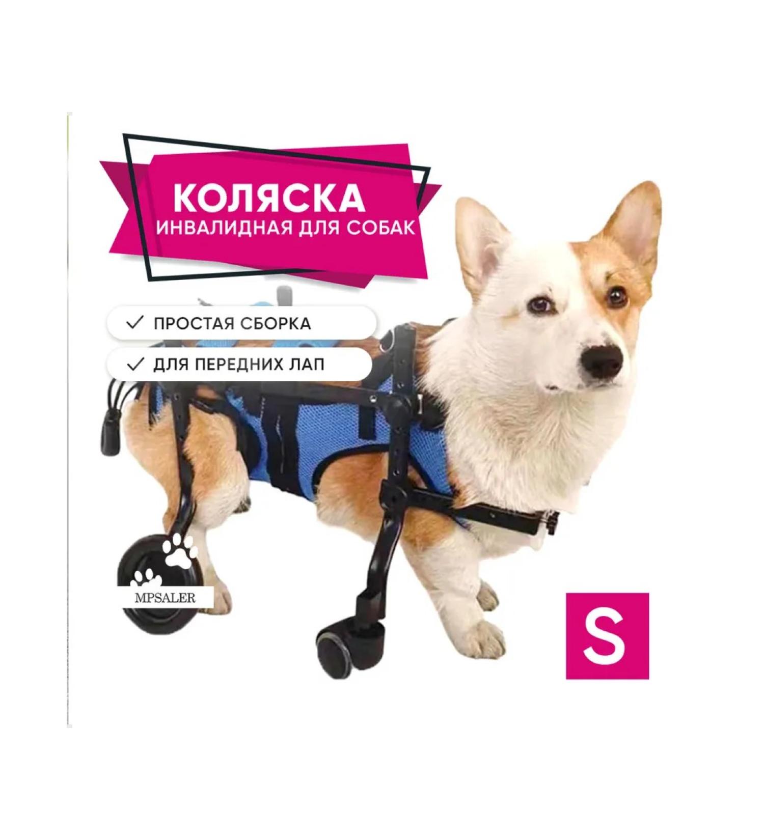 MPSALER Invalued stroller for dogs and cats. For front paws. S. - Buy Online on GoSupps.com
