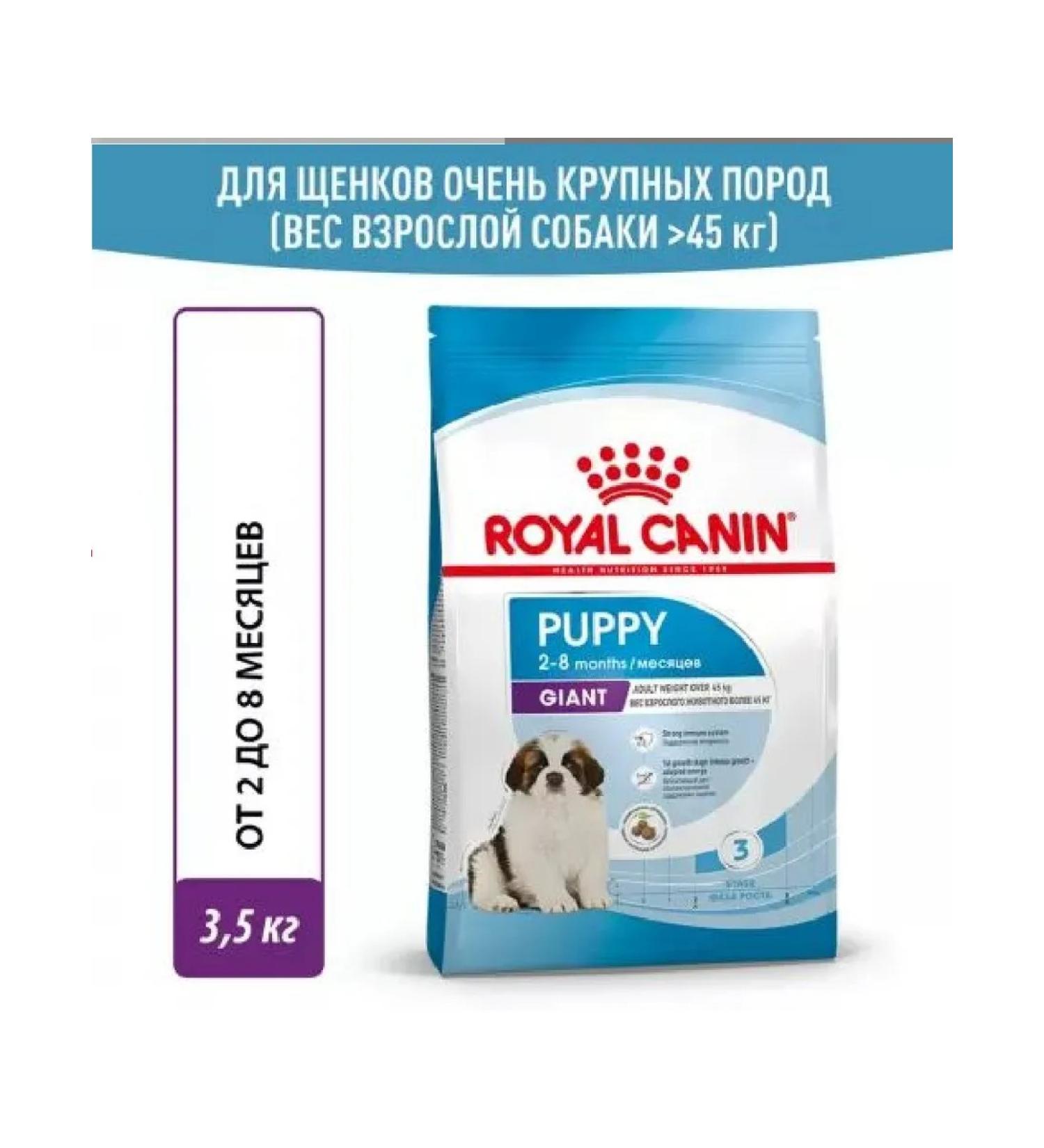 ROYAL CANIN (1 pc) 3.5 kg dry food for giant puppies - Buy Online on GoSupps.com