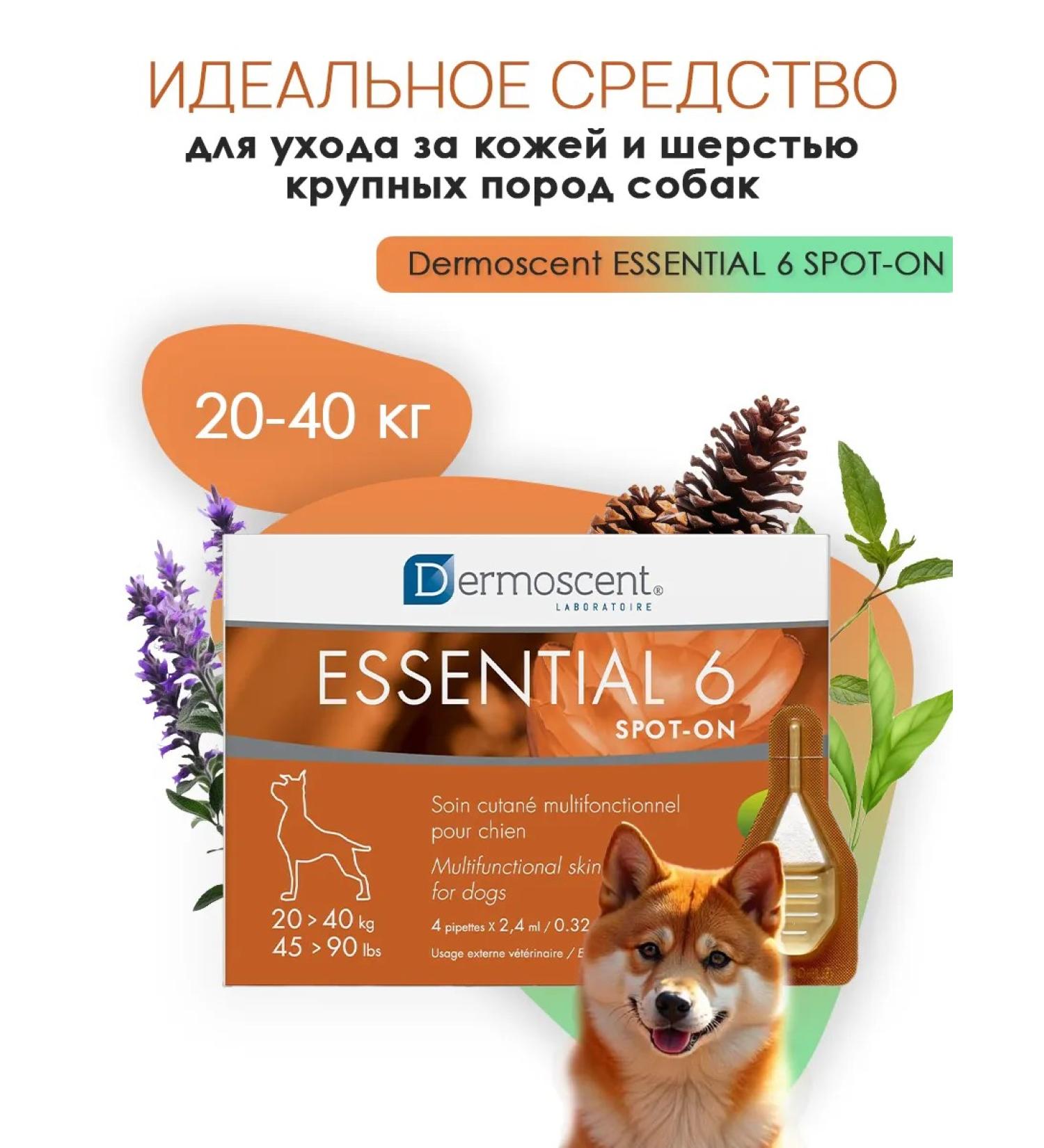 Dermoscent Essenshial 6 SPT-O Drops for the skin and wool of dogs - Buy Online on GoSupps.com