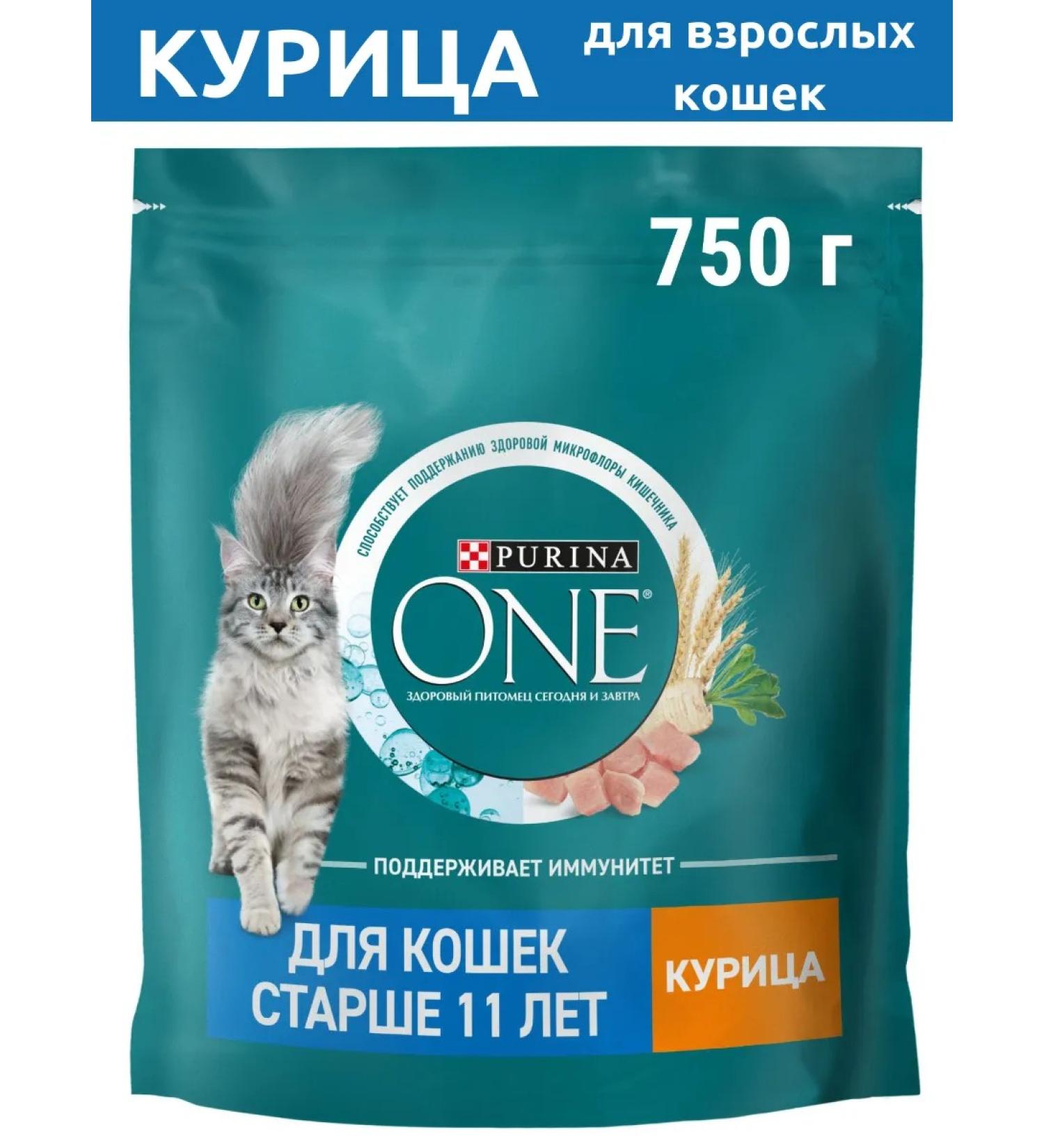 PURINA ONE Dry food for adult cats over 11 years 750 g chicken - Buy Online on GoSupps.com