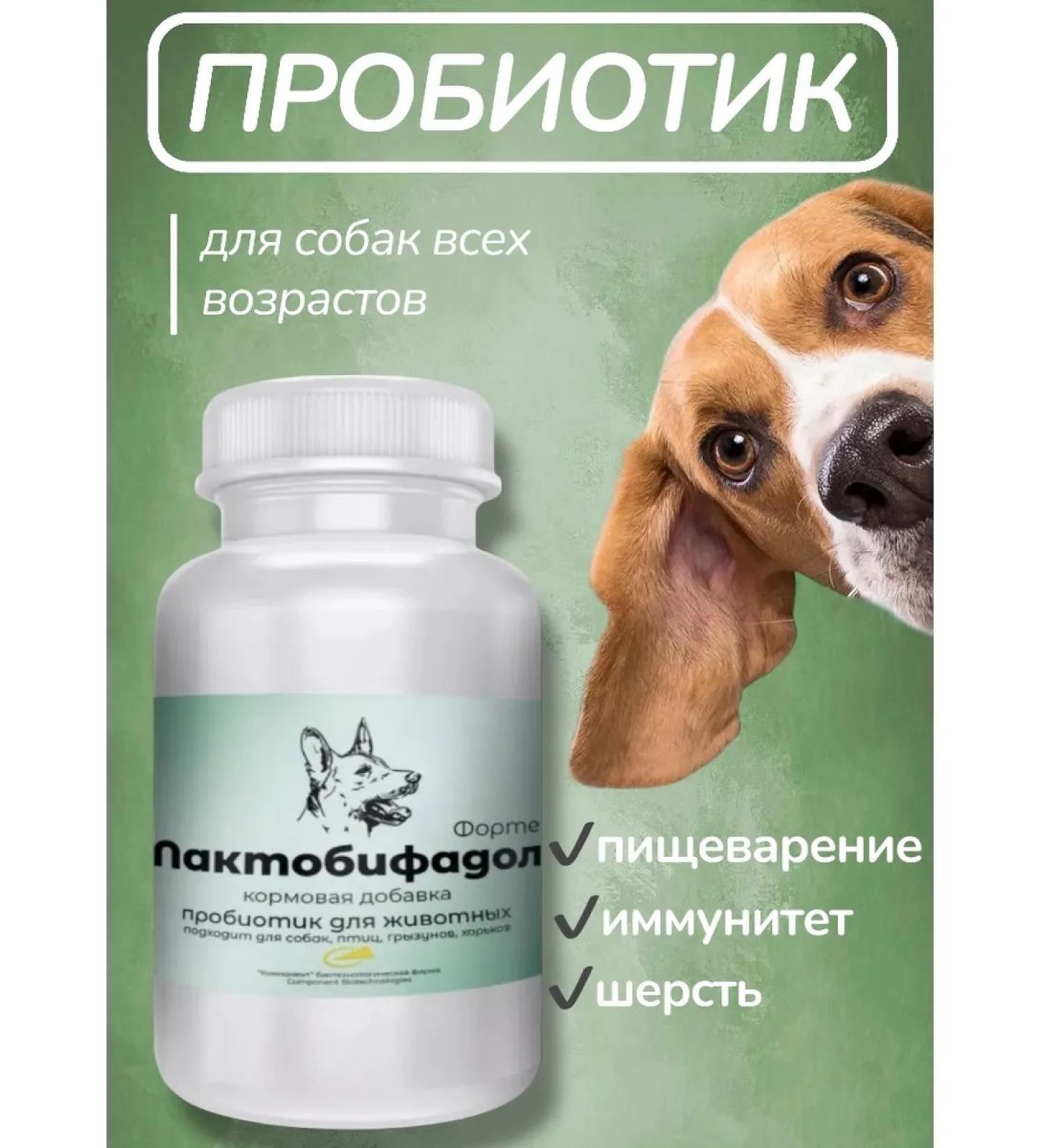 Probiotic for dogs lactobacilli improvement of gastrointestinal microflora - Buy Online on GoSupps.com