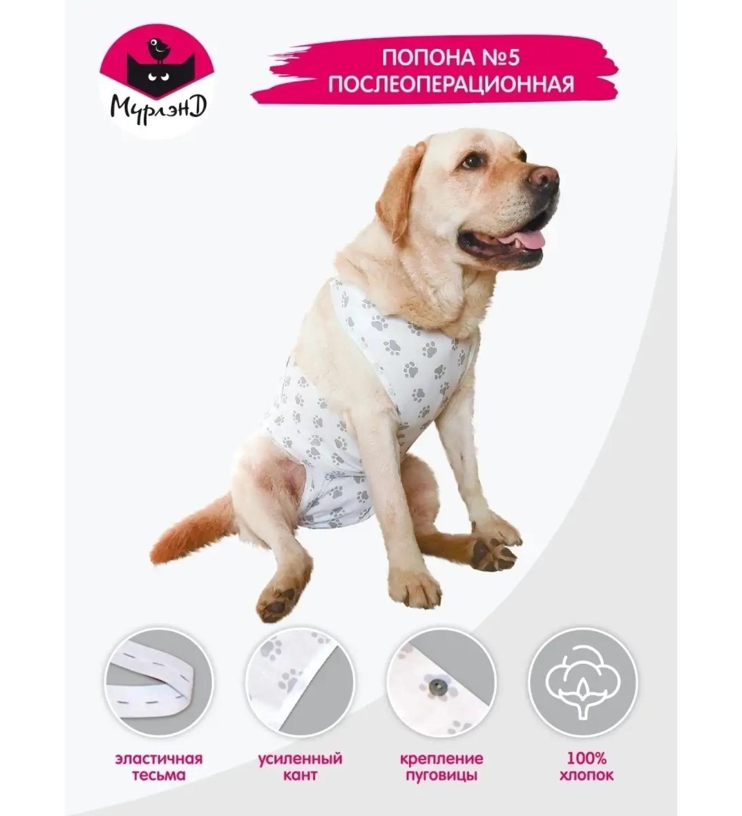 MOORLAND Popon postoperative for dogs of large breeds - Buy Online on GoSupps.com