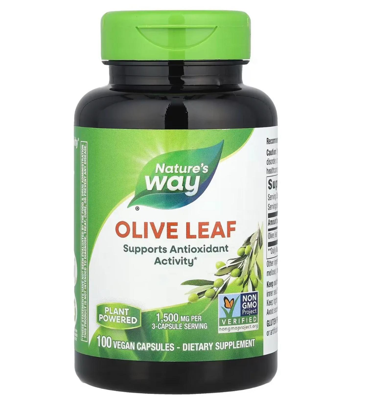 Carlson Olive leaf Olive Leaf - Buy Online on GoSupps.com