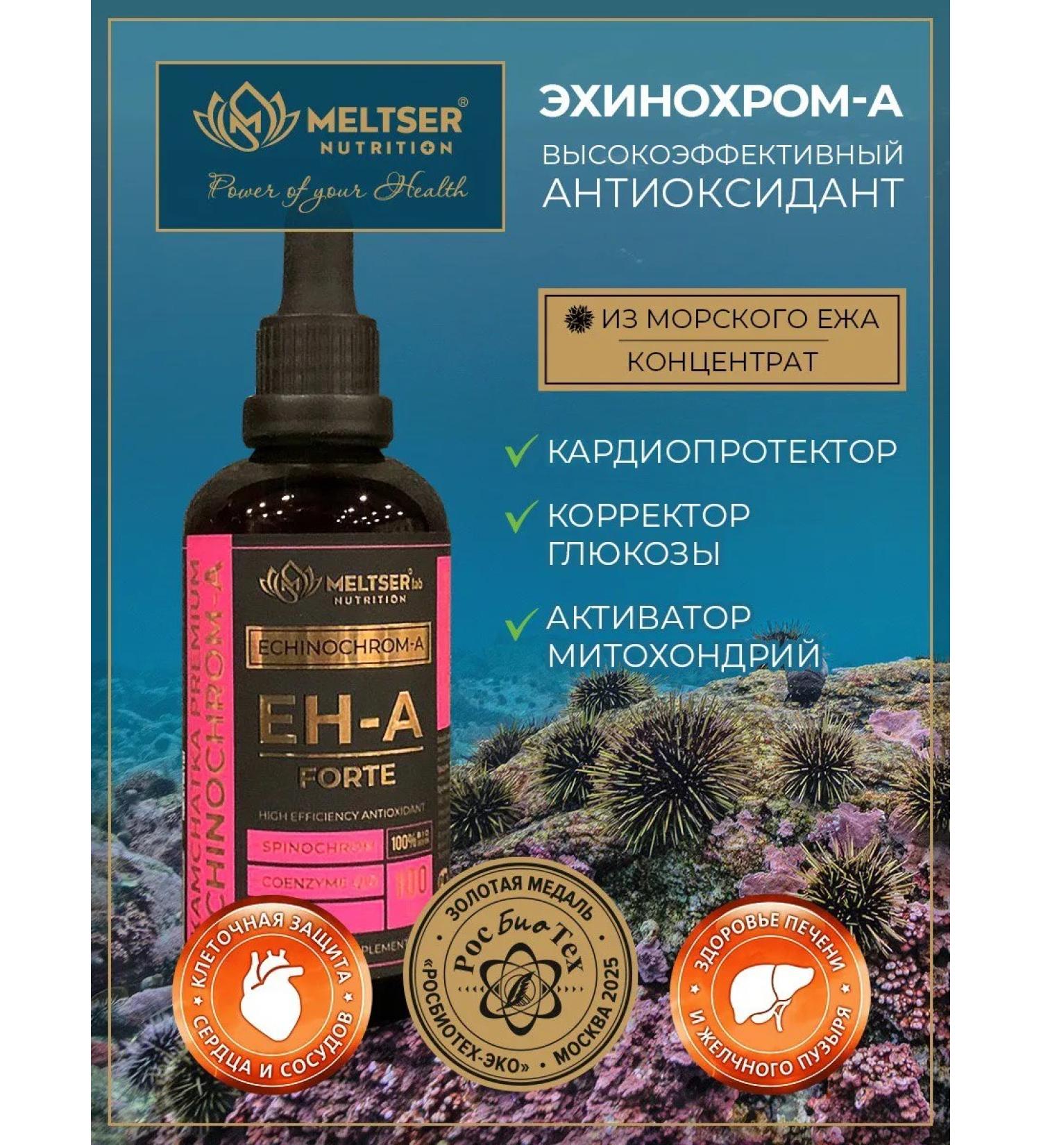 Meltser Nutrition Natural echinochrome-a forte liquid concentrate 100 ml - Buy Online on GoSupps.com