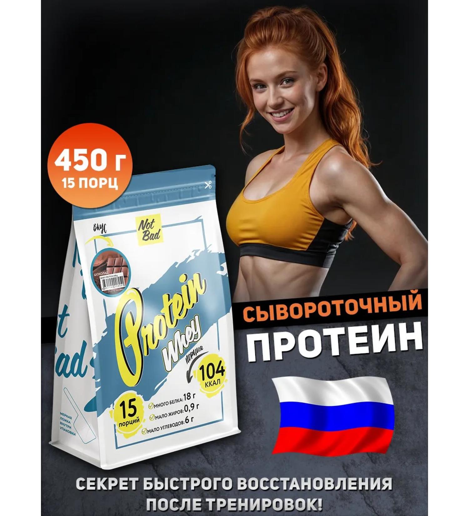 NotBad Whey -protein protein without sugar Whey Protein 450 g chocolate - Buy Online on GoSupps.com