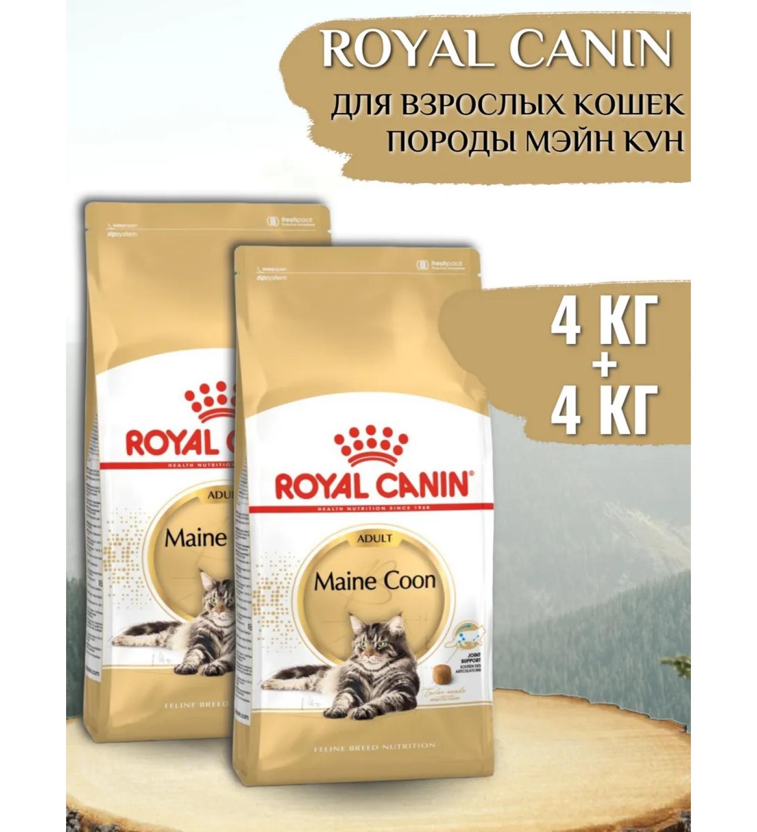 ROYAL CANIN Dry food for cats 4 kg + 4 kg - Buy Online on GoSupps.com