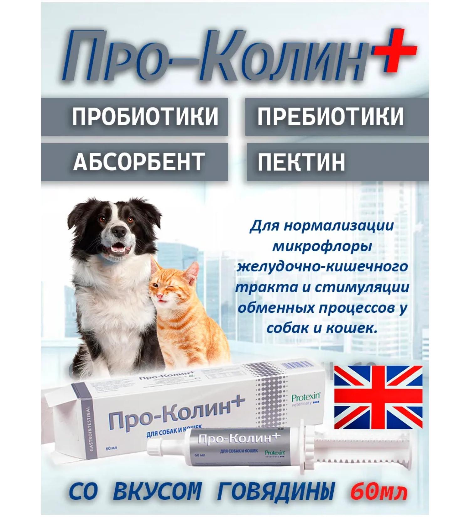 Protein Prokolin plus a probiotic for cats and dogs 60 ml - Buy Online on GoSupps.com