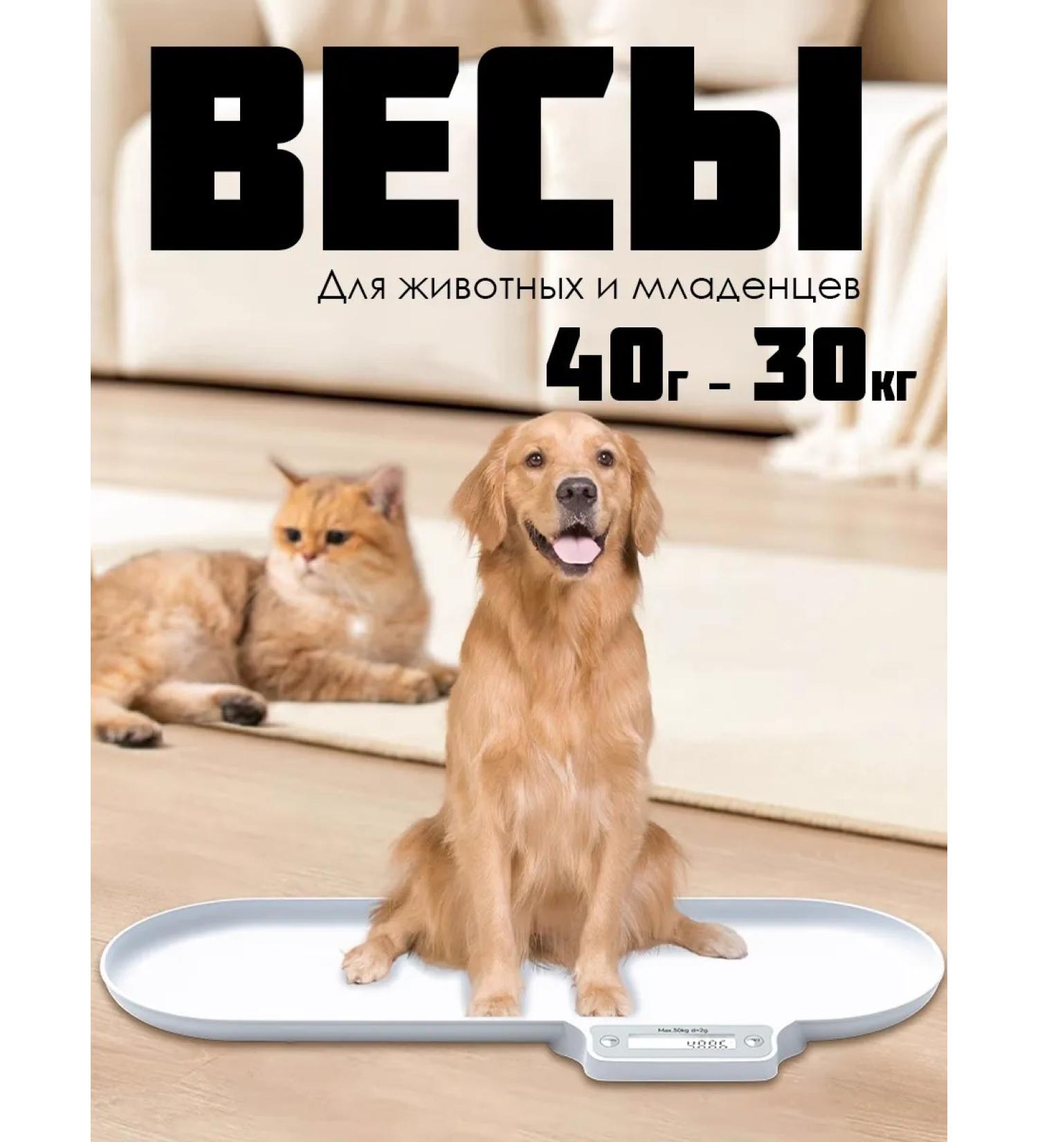 veterinary scales for a cat and dog 40 G-30 kg - Buy Online on GoSupps.com
