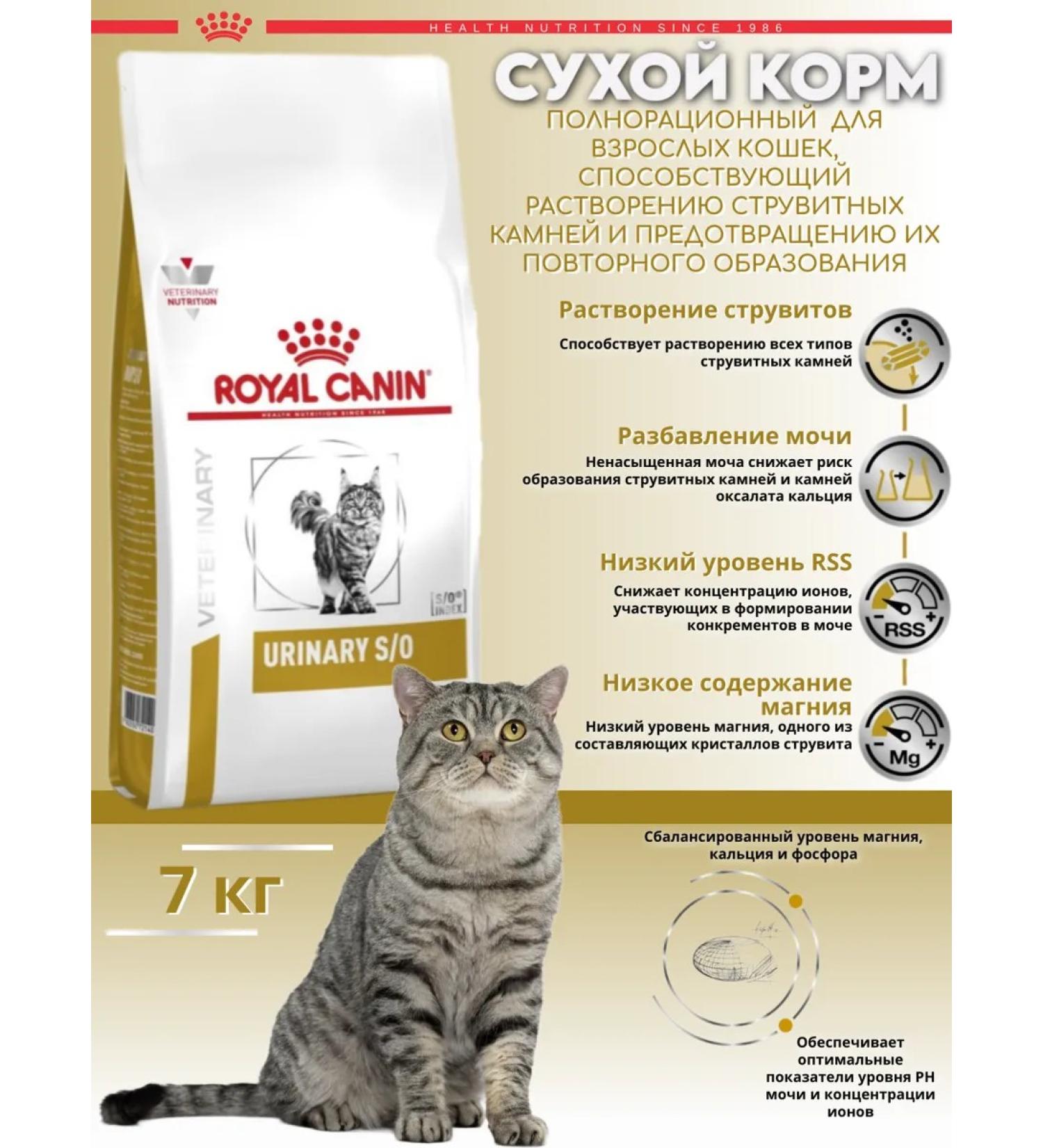 ROYAL CANIN Dry food for cats with chicken 7 kg - Buy Online on GoSupps.com