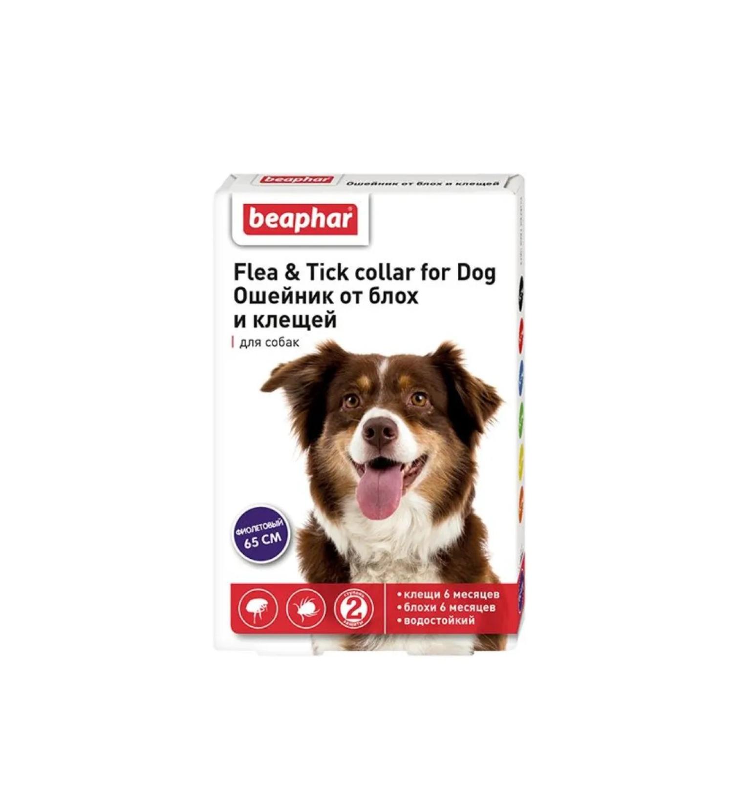beaphar A collar from fleas and ticks for dogs (purple 65cm)