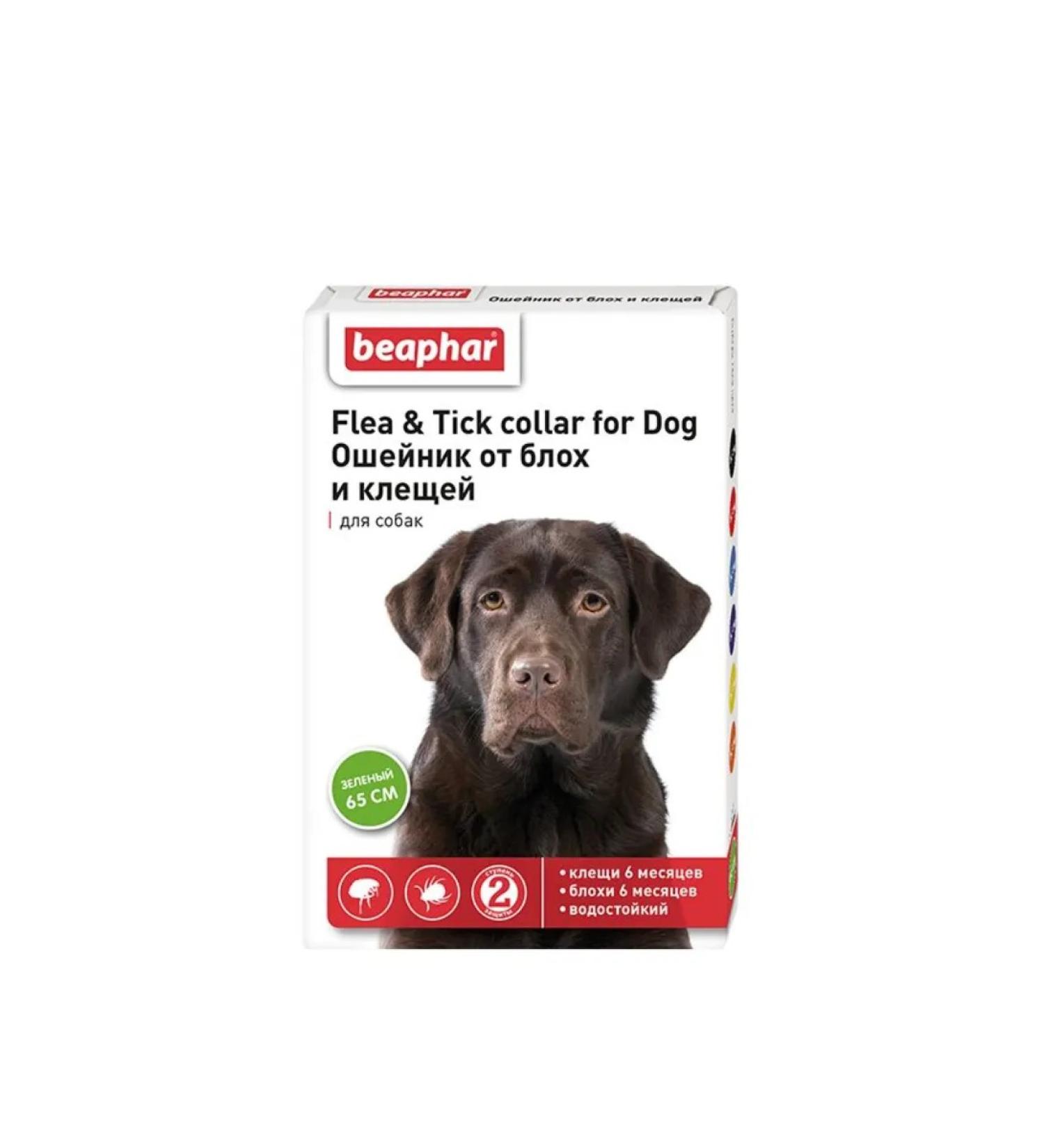 beaphar A collar from fleas and dogs for dogs (green 65cm)