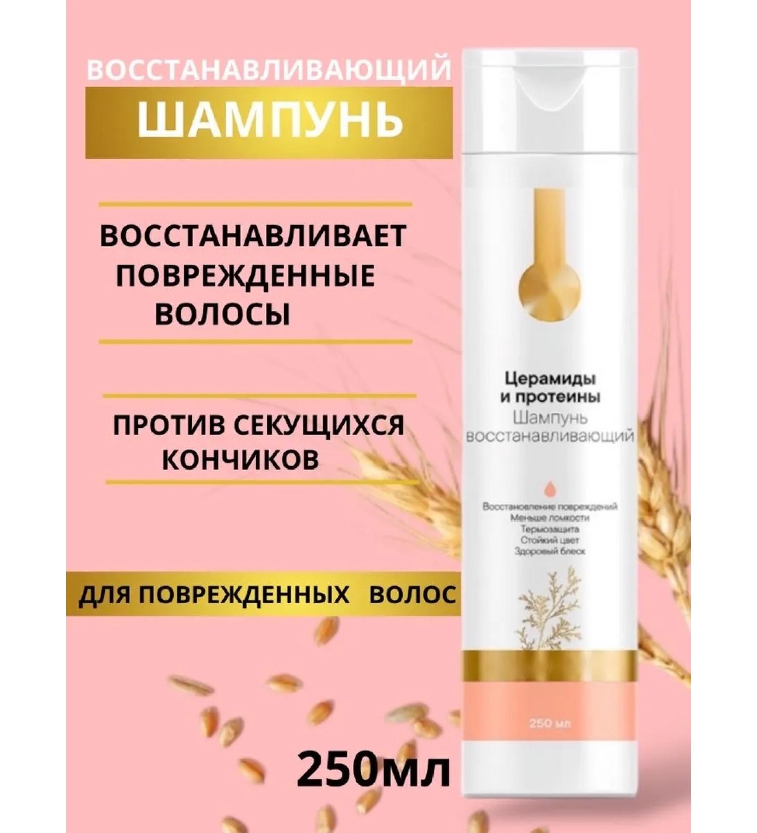 Siberian immunity The shampoo is restored - Buy Online on GoSupps.com