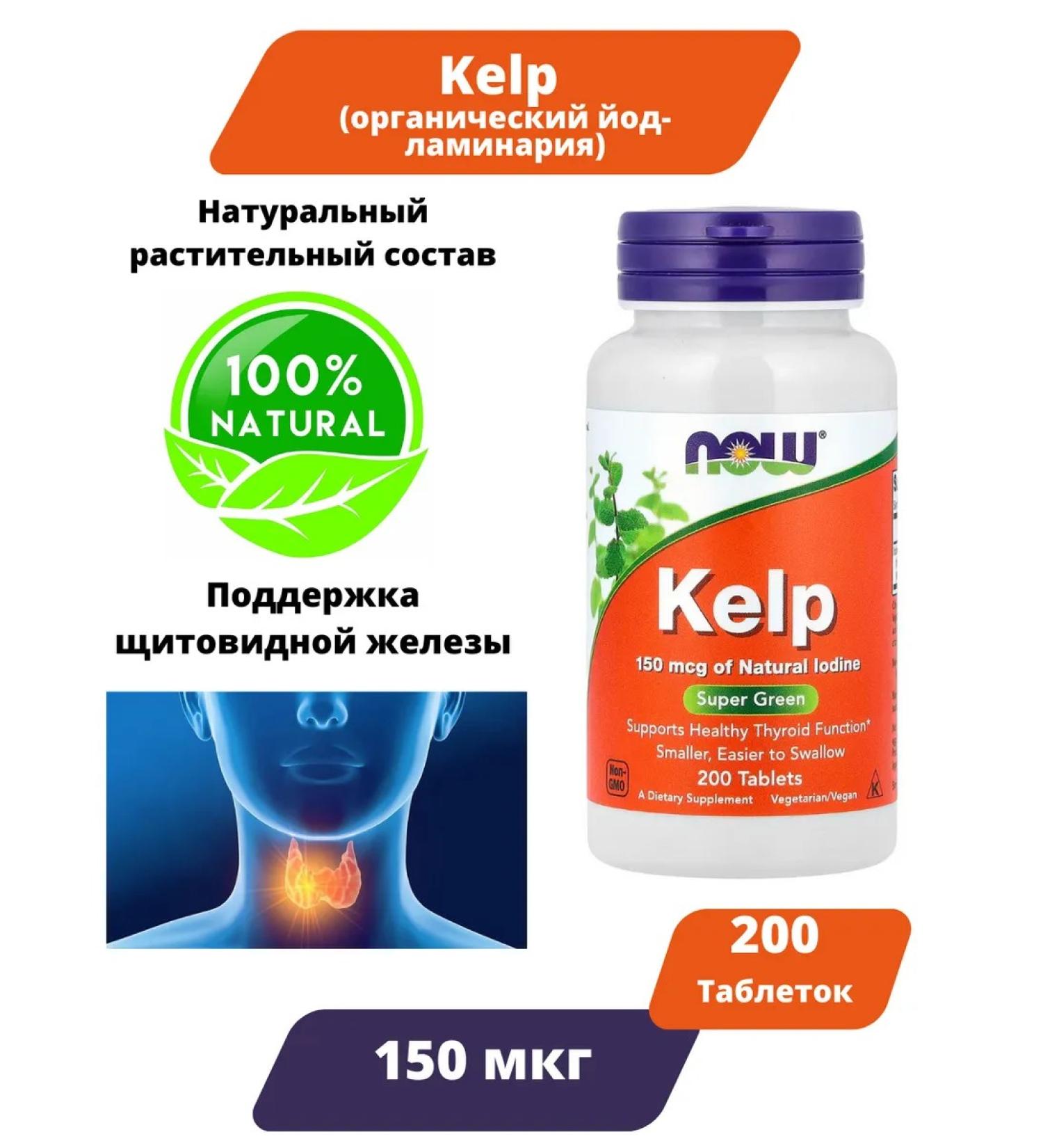 Now Foods Kelp (iodine made of brown algae) 150 g 200 tablets - Buy Online on GoSupps.com