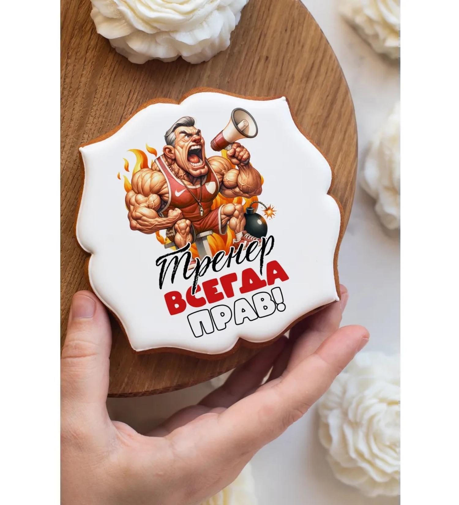 Frau Praline Gingerbread coach Pitch - Buy Online on GoSupps.com