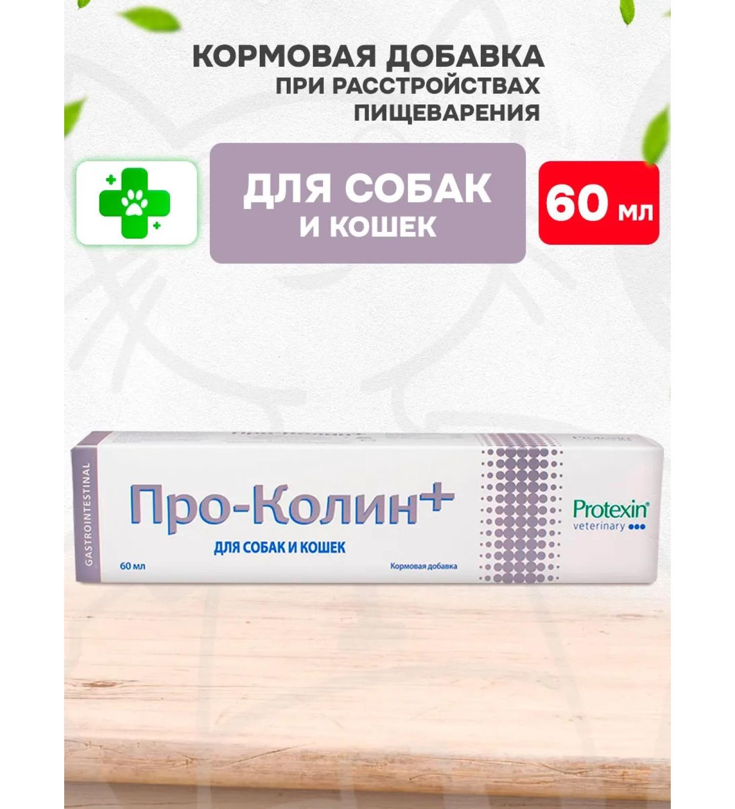 Protein Pro-Kolin Prokolin Probiotic additive for dogs and cats 60 ml - Buy Online on GoSupps.com