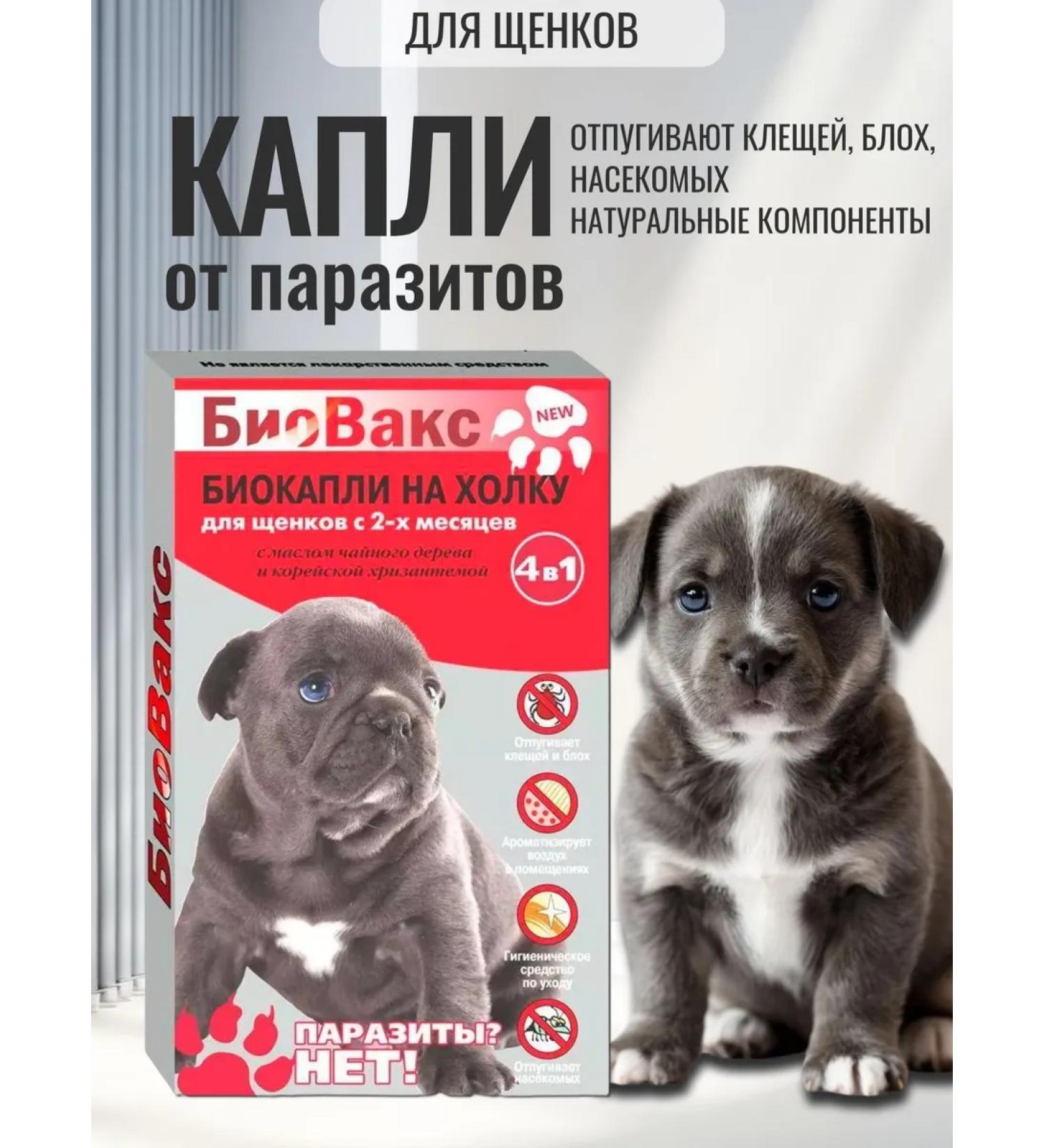 Biovax Drops from fleas and ticks for puppies 2 pcs - Buy Online on GoSupps.com