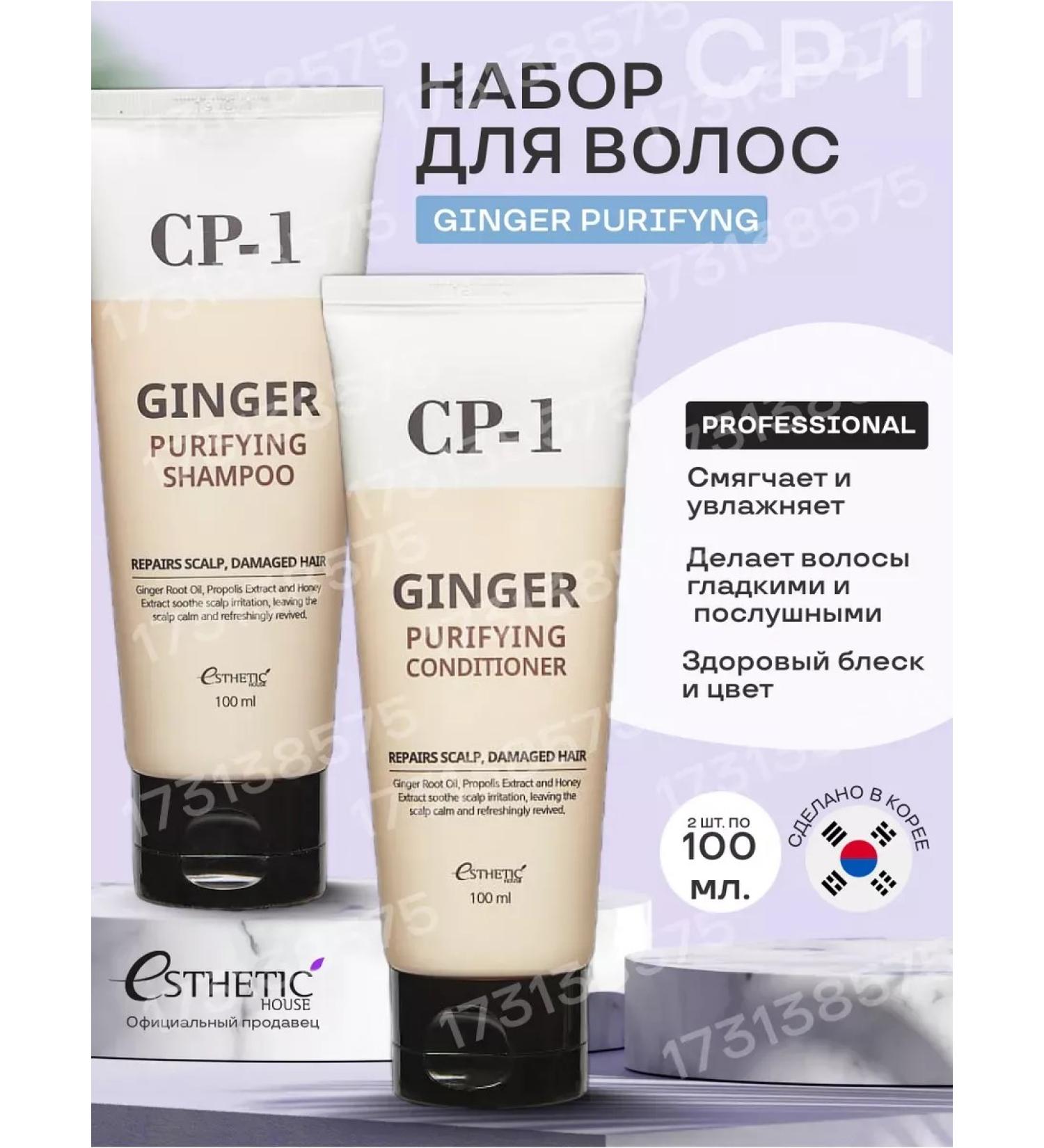 Ginger's shampoo and air conditioning - Buy Online on GoSupps.com