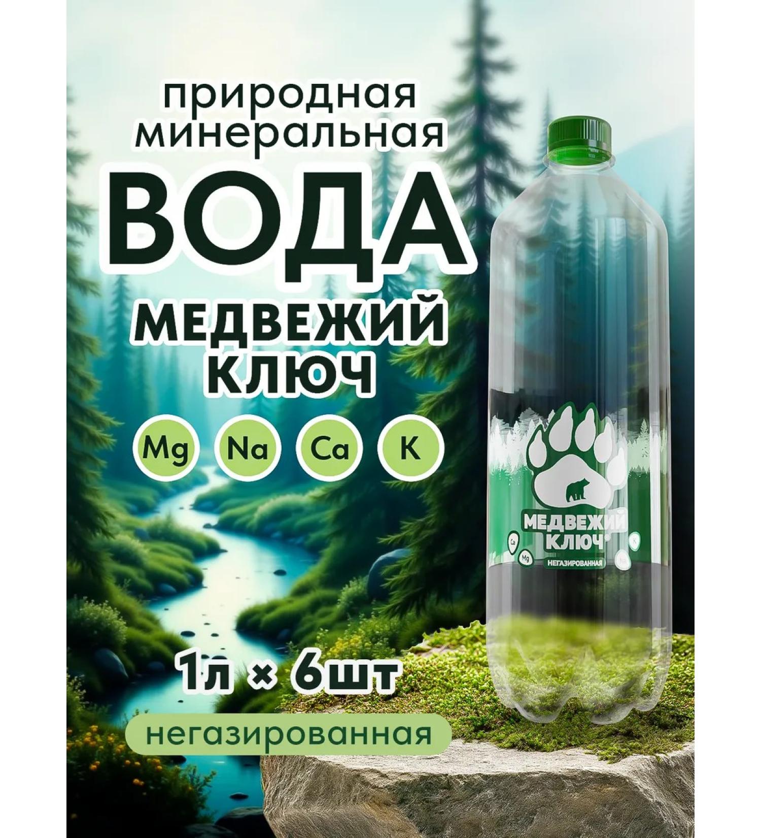 Bear Key Mineral water with magnesium non -carbonated 6 pcs 1 liter - Buy Online on GoSupps.com